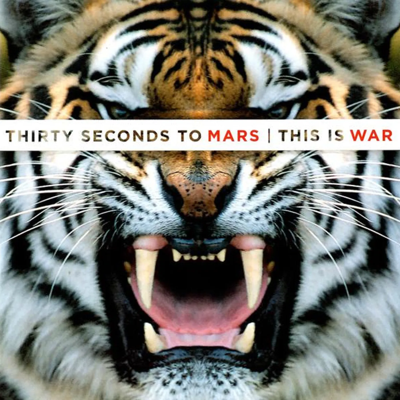 Thirty Seconds To Mars THIS IS WAR CD
