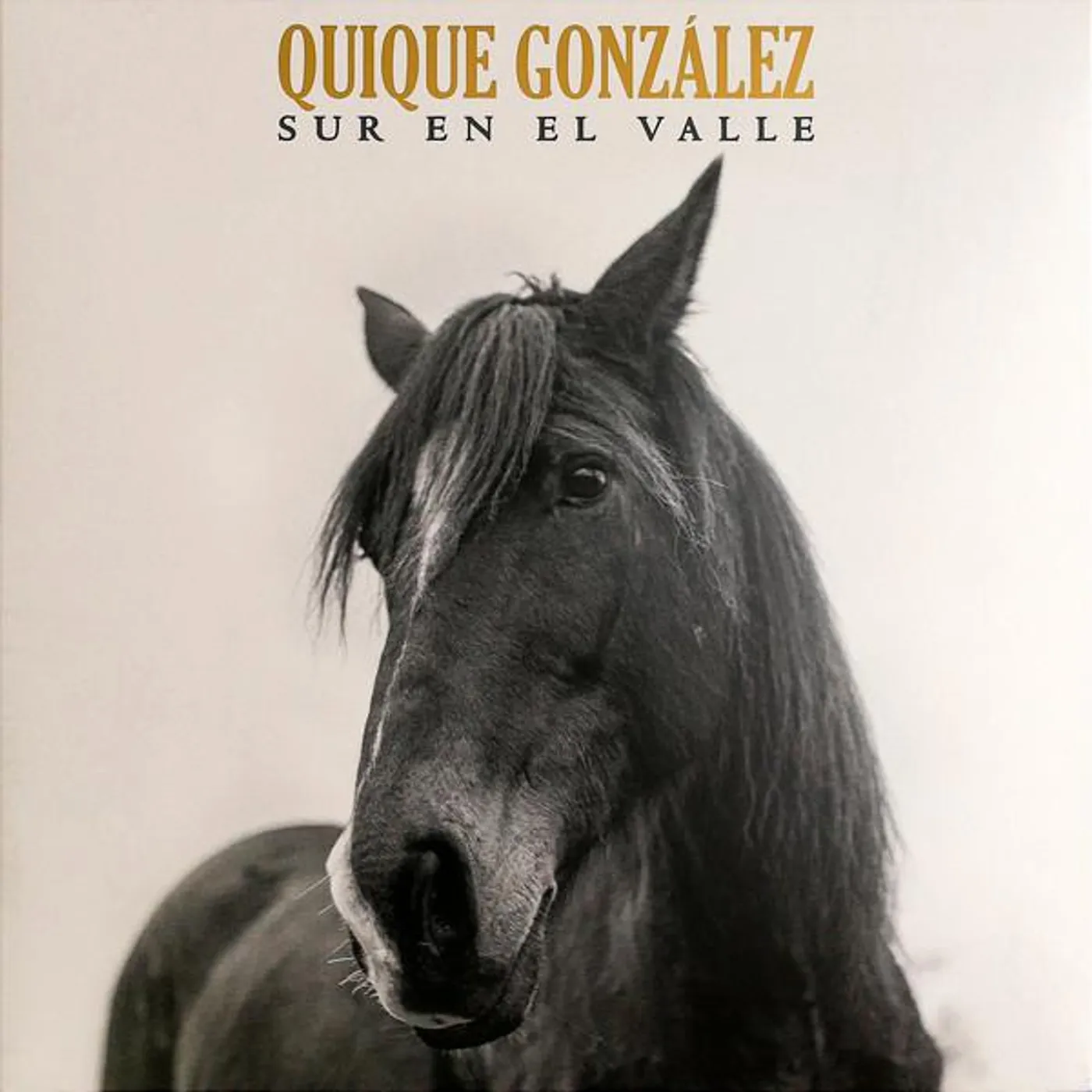 Quique González Sur en el Valle Vinyl Record