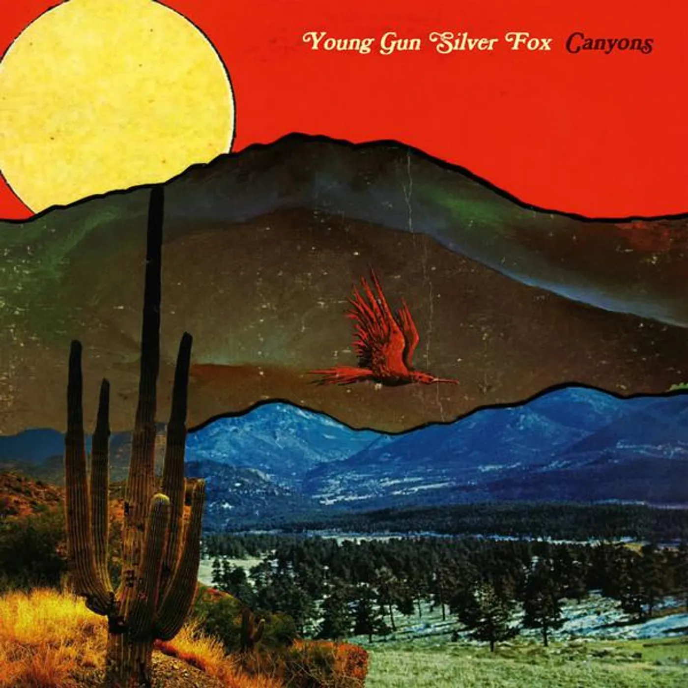 Young Gun Silver Fox CANYONS Vinyl Record