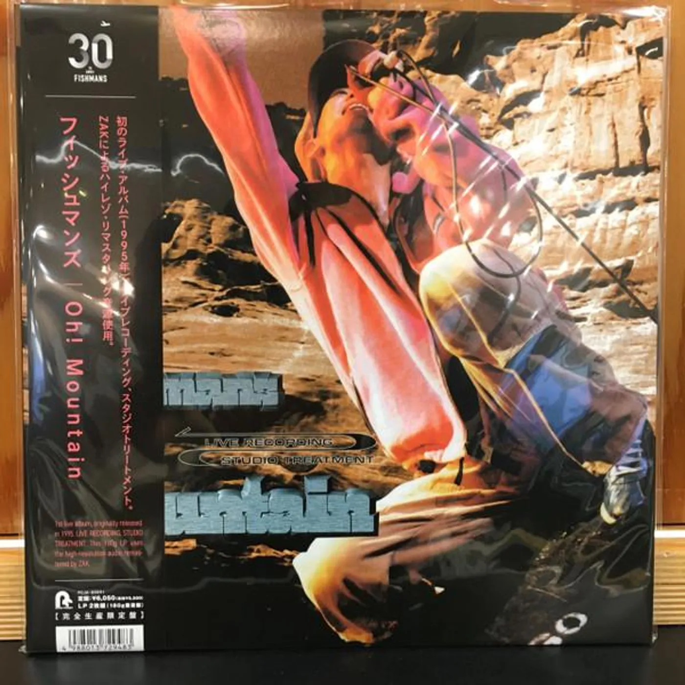 Fishmans OH MOUNTAIN Vinyl Record