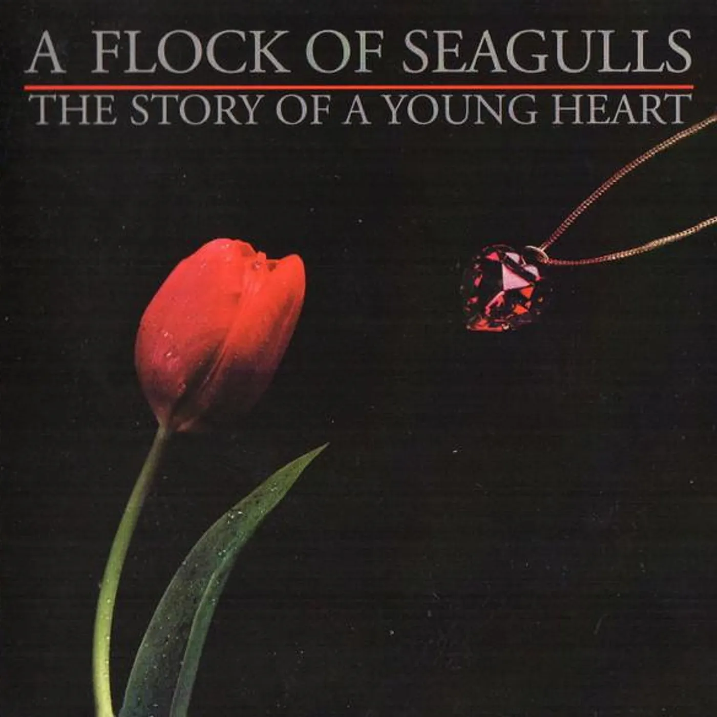 A Flock Of Seagulls STORY OF A YOUNG HEART CD