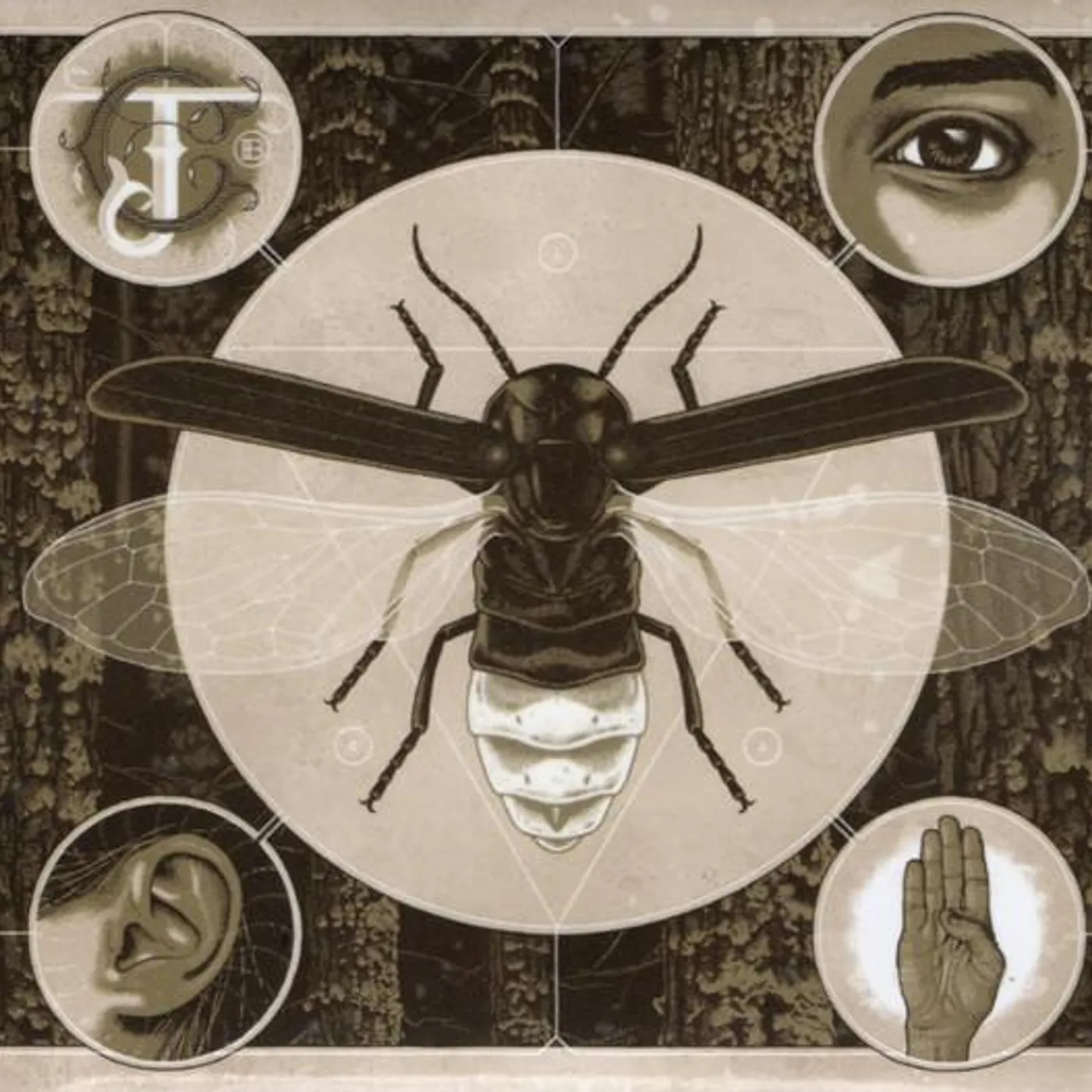 Jerry Cantrell BRIGHTEN (GLOW-IN-THE-DARK PACKAGING) CD