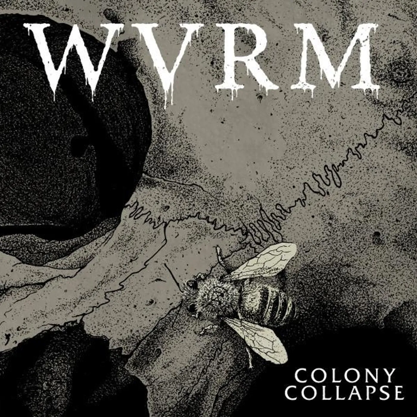 WVRM COLONY COLLAPSE Vinyl Record