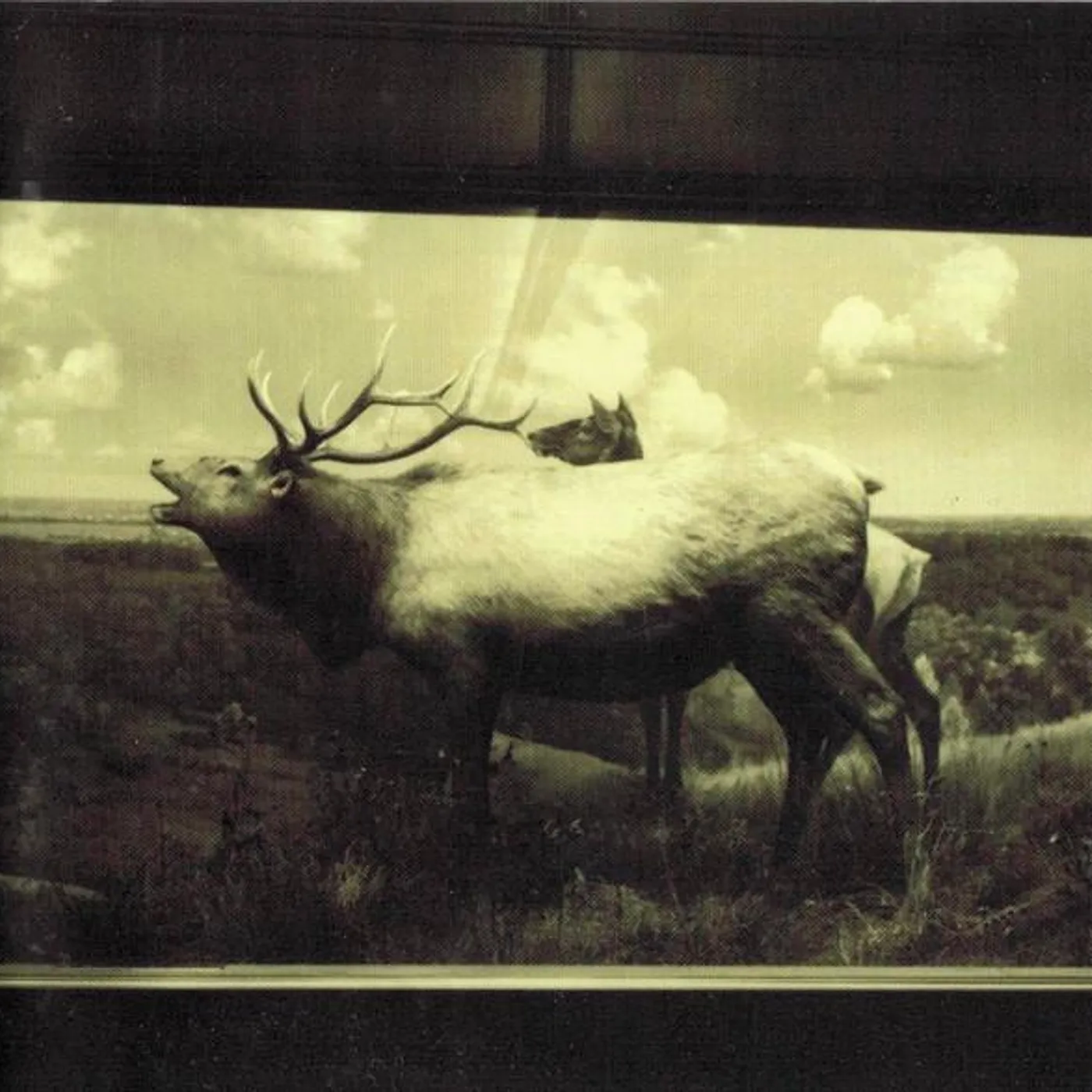 Dark Dark Dark SNOW MAGIC CD