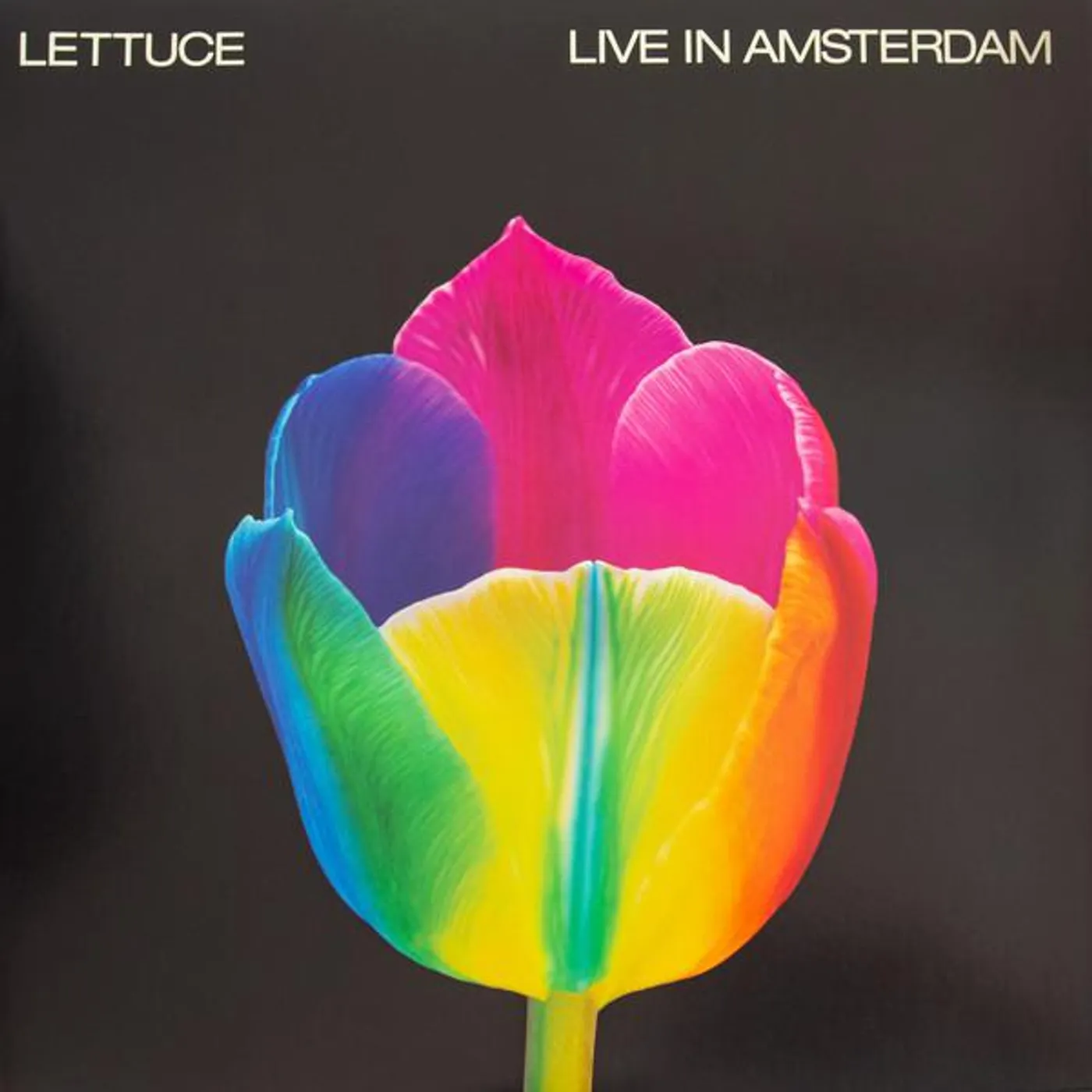 Lettuce LIVE IN AMSTERDAM (2LP) Vinyl Record