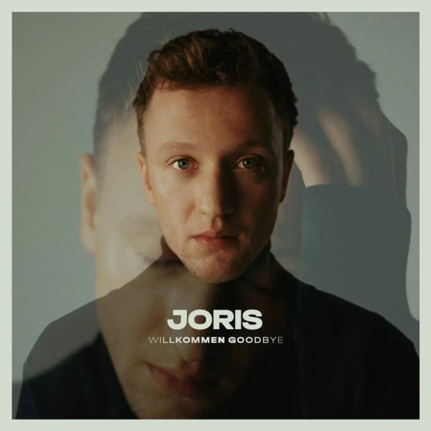 JORIS WILLKOMMEN GOODBYE CD