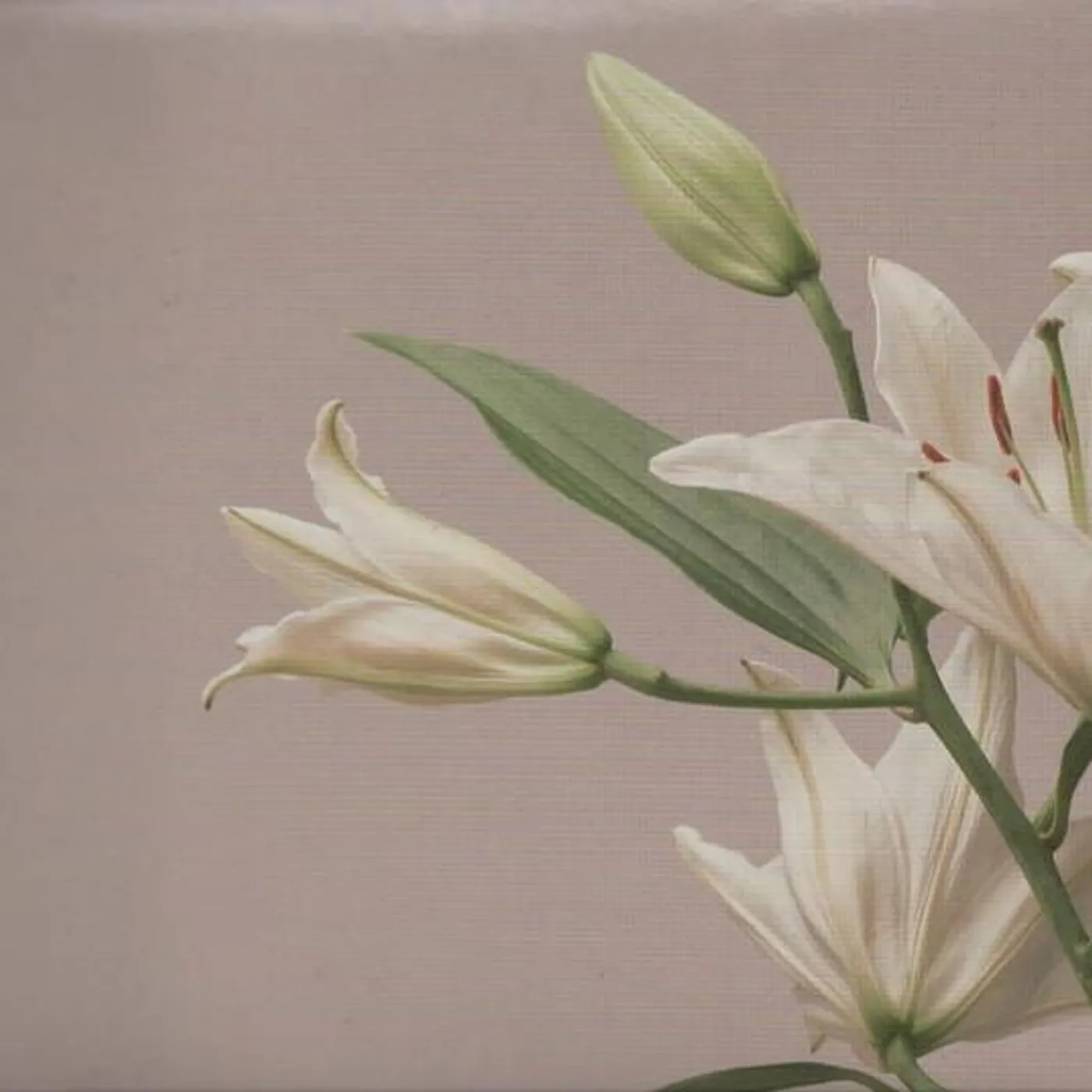 Imminence TURN THE LIGHT ON: ACOUSTIC REIMAGINATION V1 CD