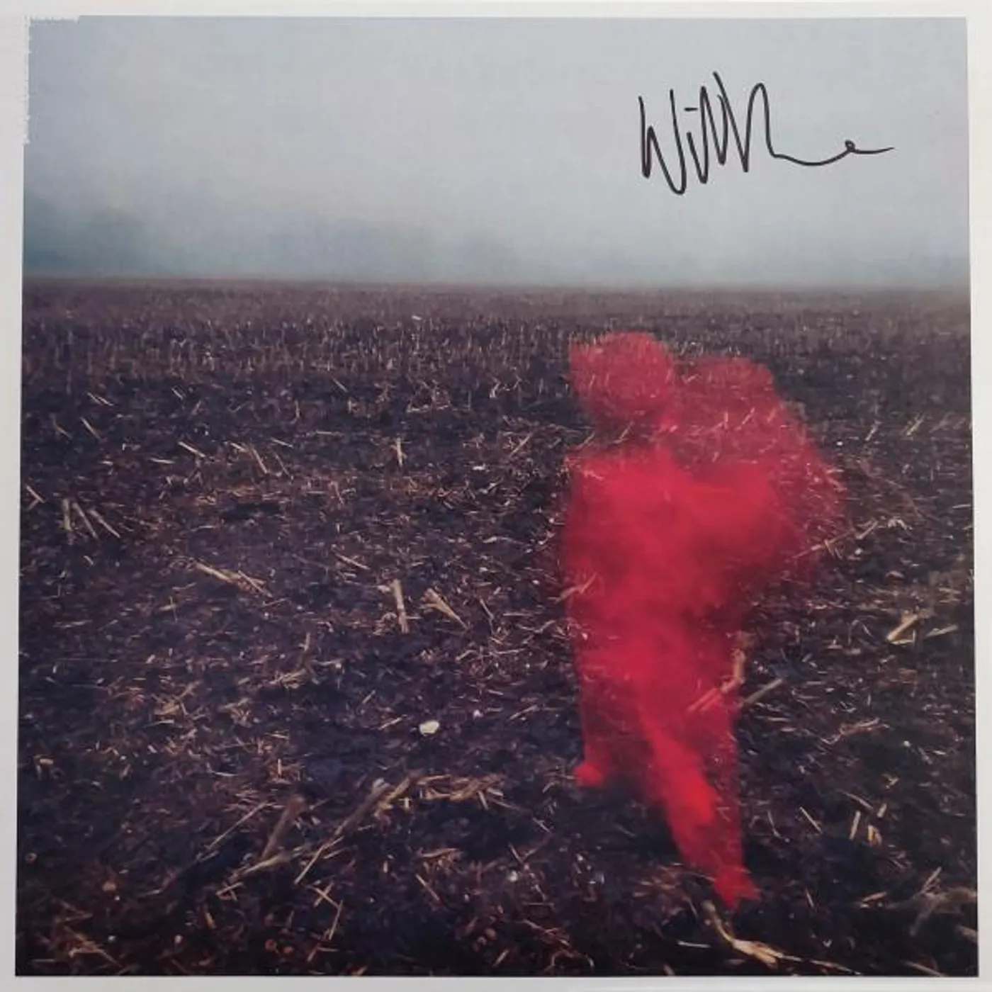 Will Varley HOLE AROUND MY HEAD Vinyl Record