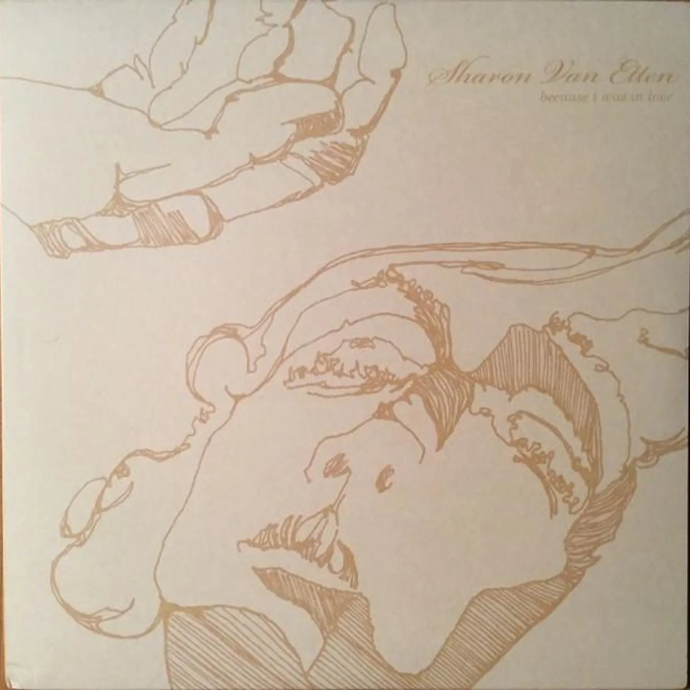 Sharon Van Etten BECAUSE I WAS IN LOVE Vinyl Record