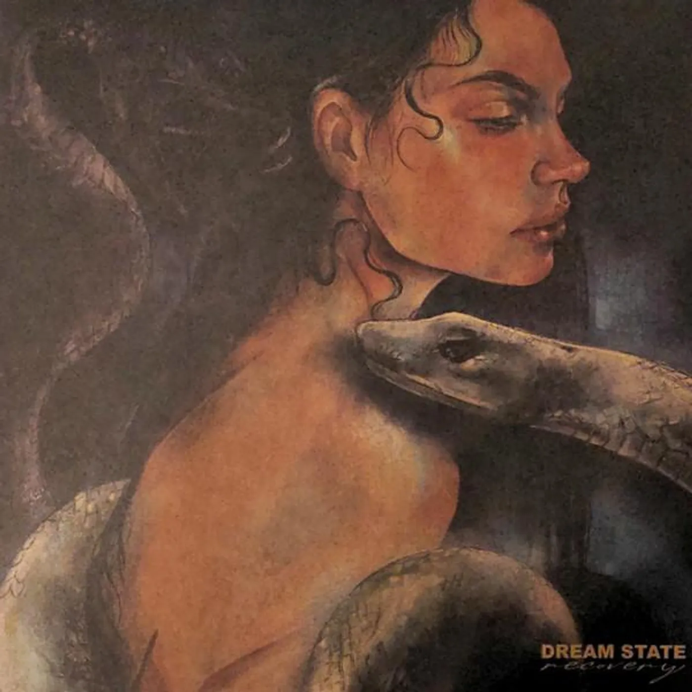 Dream State Recovery Vinyl Record