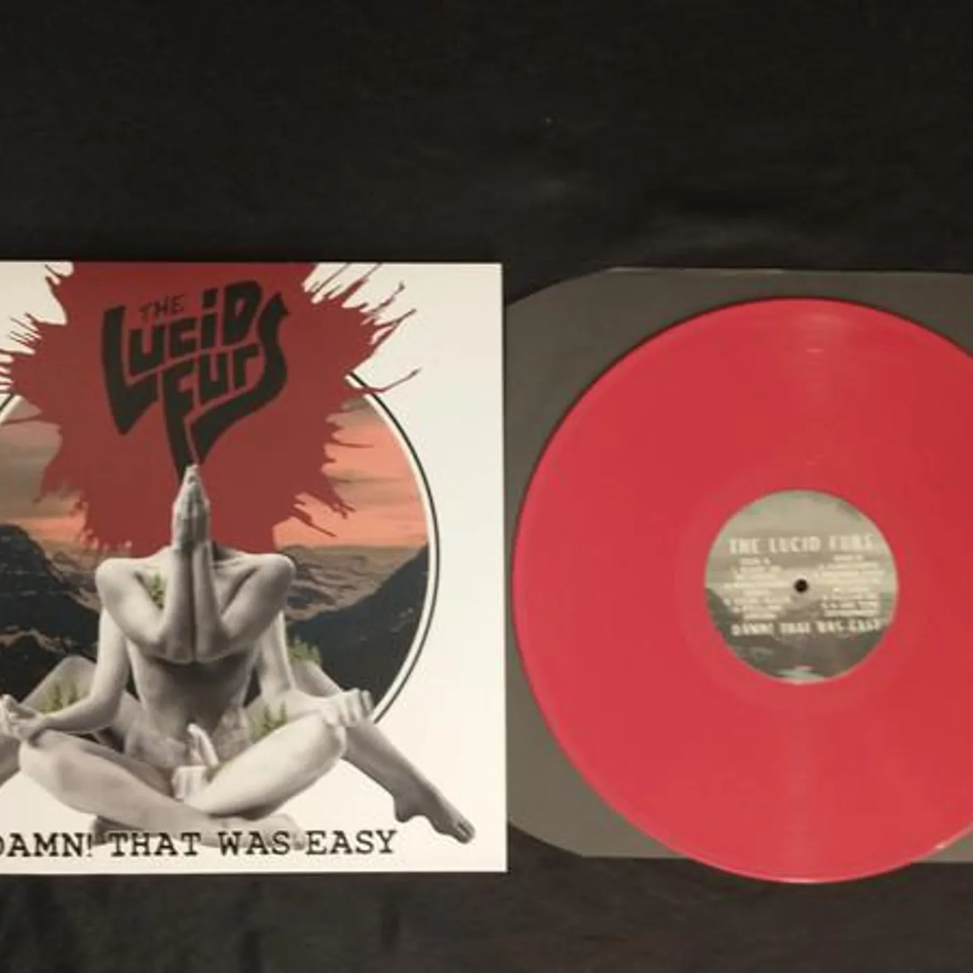 The Lucid Furs DAMN THAT WAS EASY Vinyl Record