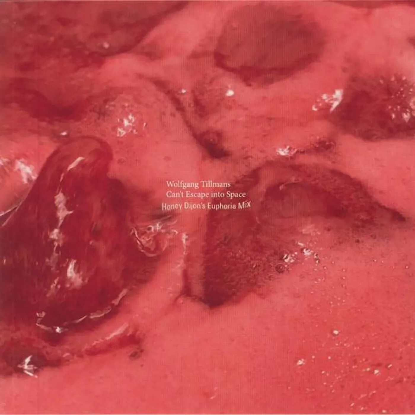 Wolfgang Tillmans CAN'T ESCAPE INTO SPACE: HONEY DIJON'S EUPHORIA Vinyl Record
