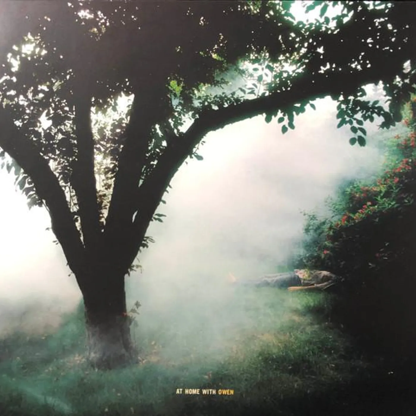 At Home With Owen Vinyl Record