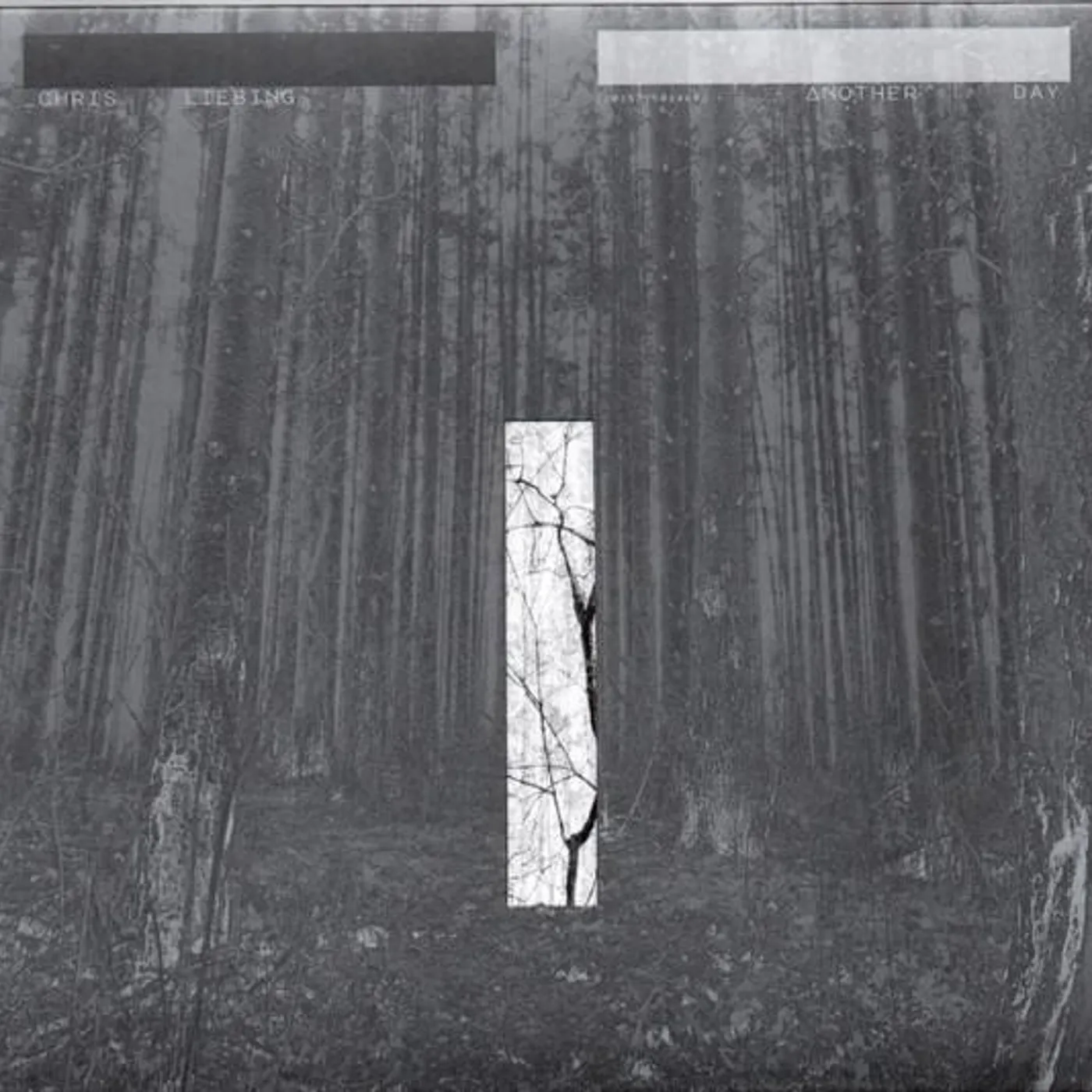 Chris Liebing ANOTHER DAY CD