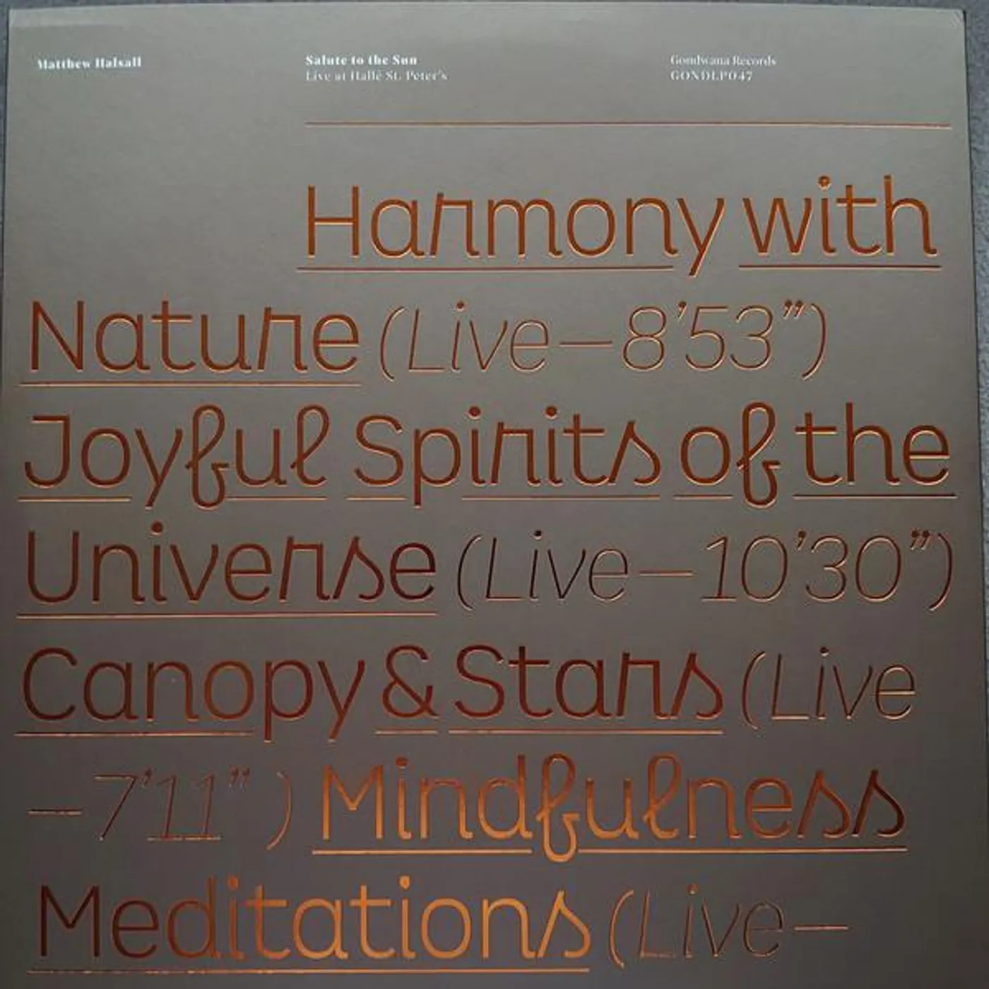 Matthew Halsall SALUTE TO THE SUN LIVE AT HALLE ST. PETER'S Vinyl Record