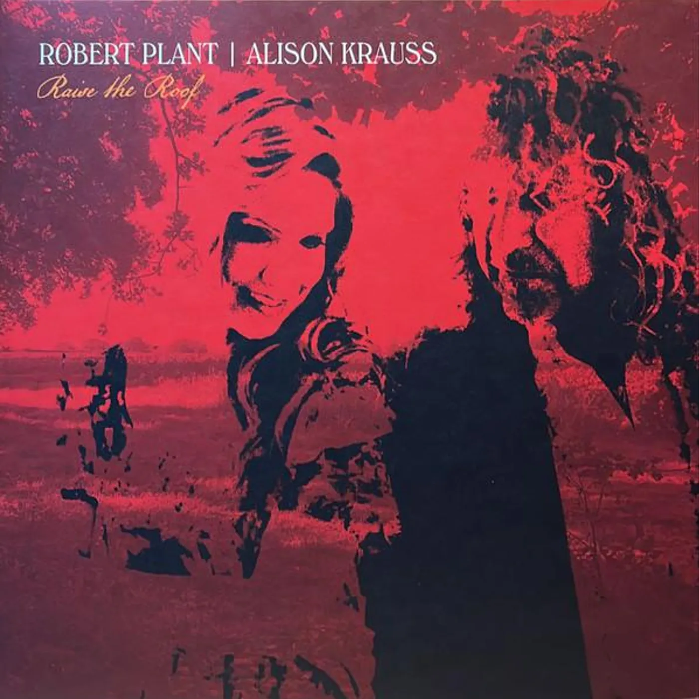 Robert Plant / Alison Krauss RAISE THE ROOF Vinyl Record
