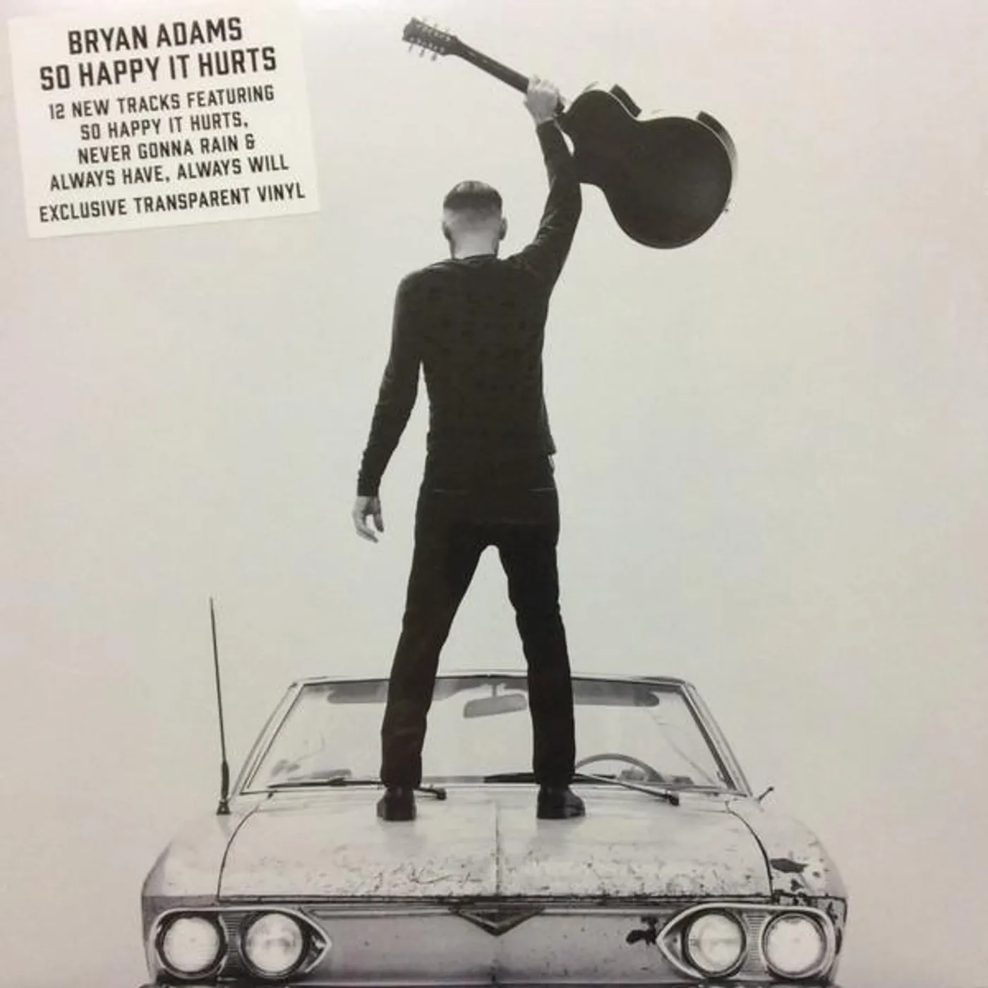 Bryan Adams So Happy It Hurts Vinyl Record