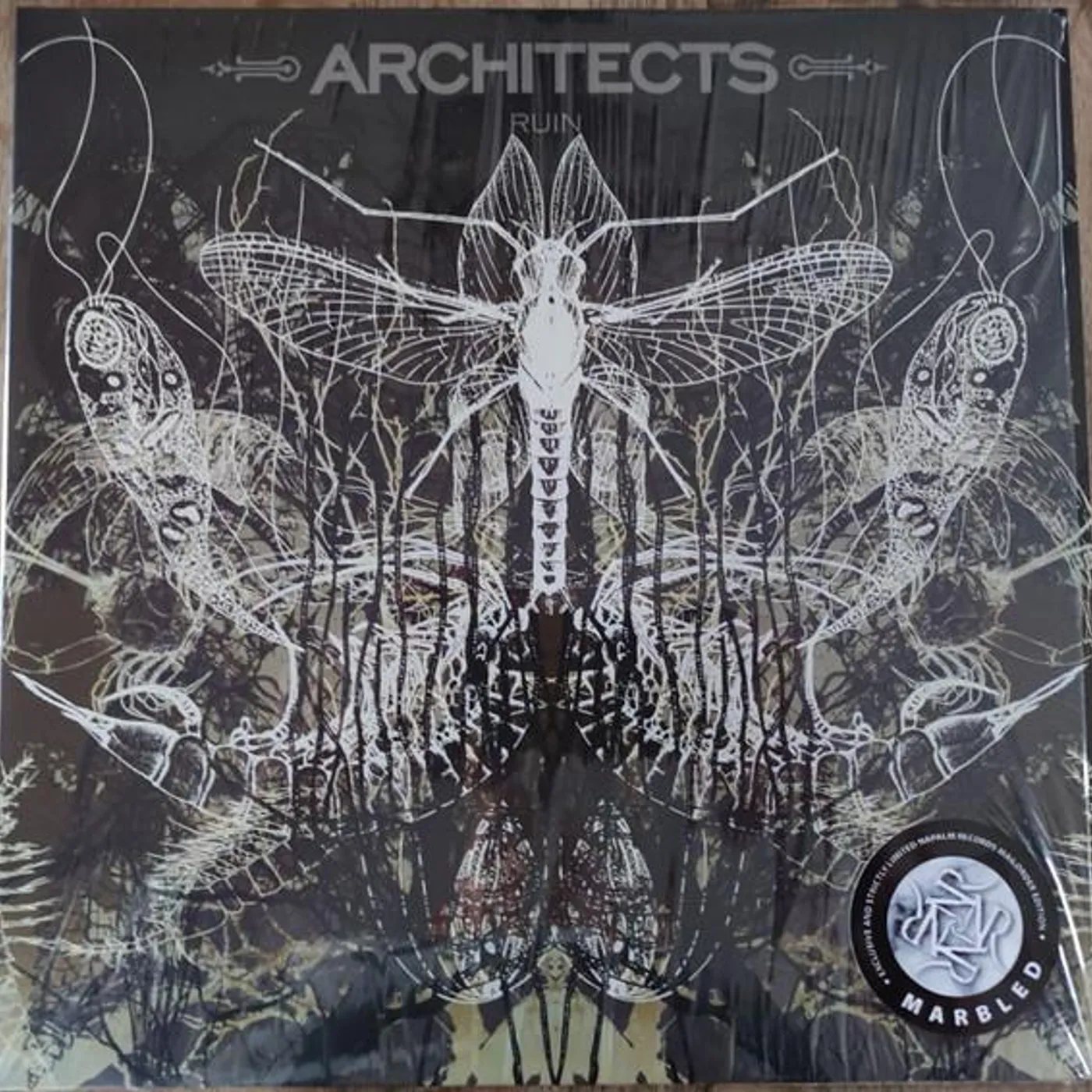 Architects RUIN REISSUE Vinyl Record