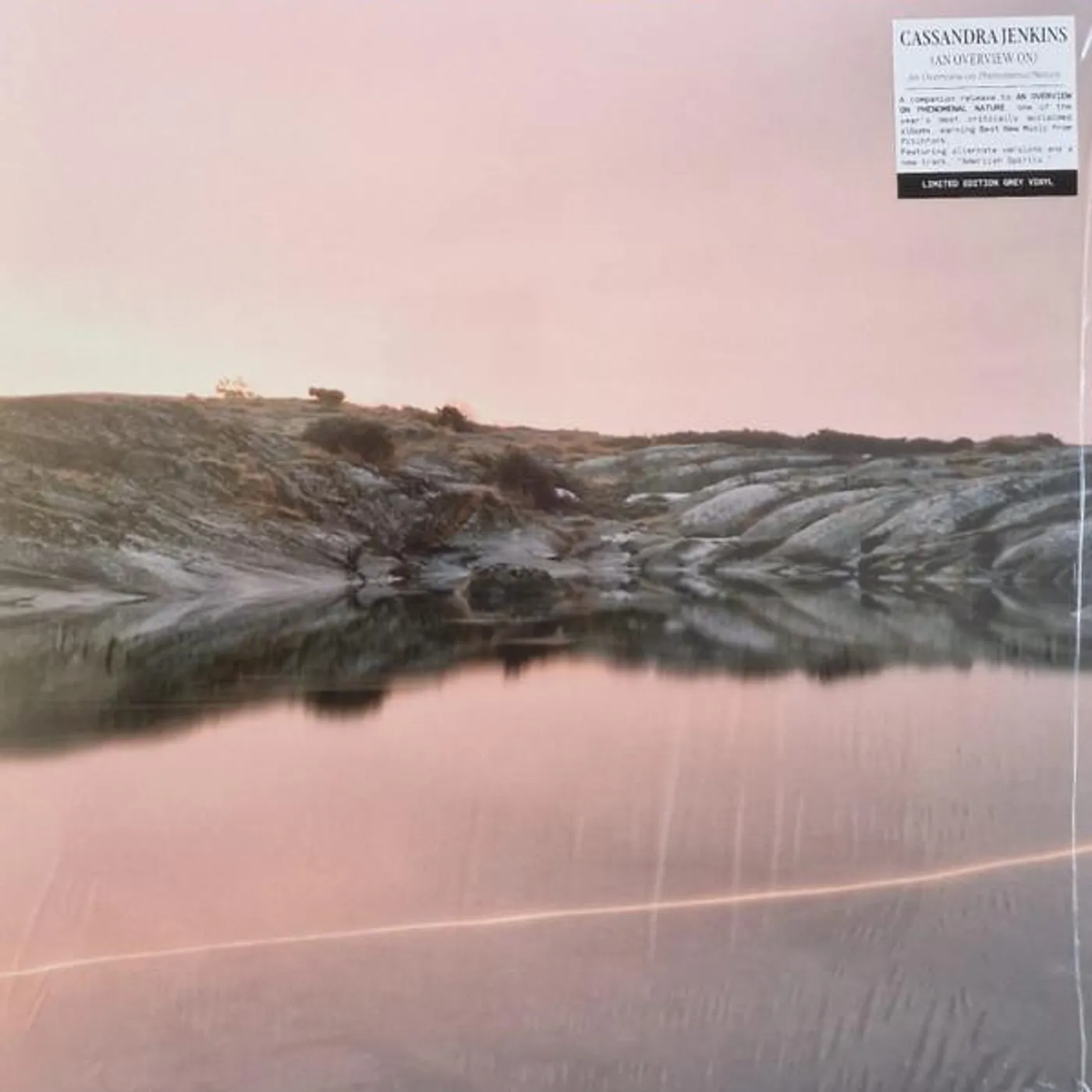 Cassandra Jenkins (An Overview On) An Overview On Phenomenal Nature Vinyl Record