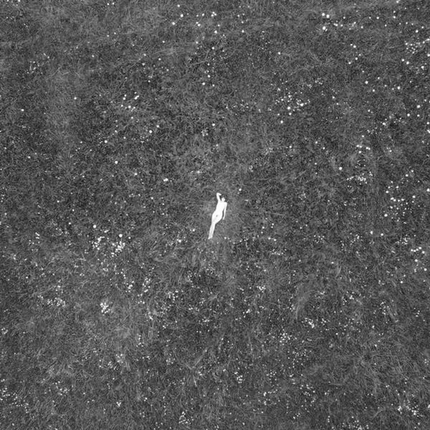 Birds Of Passage Last Garden (Clear/180g/DL Card) (I) Vinyl Record