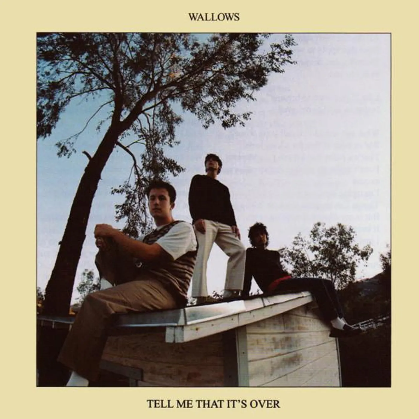 Wallows TELL ME THAT IT'S OVER CD