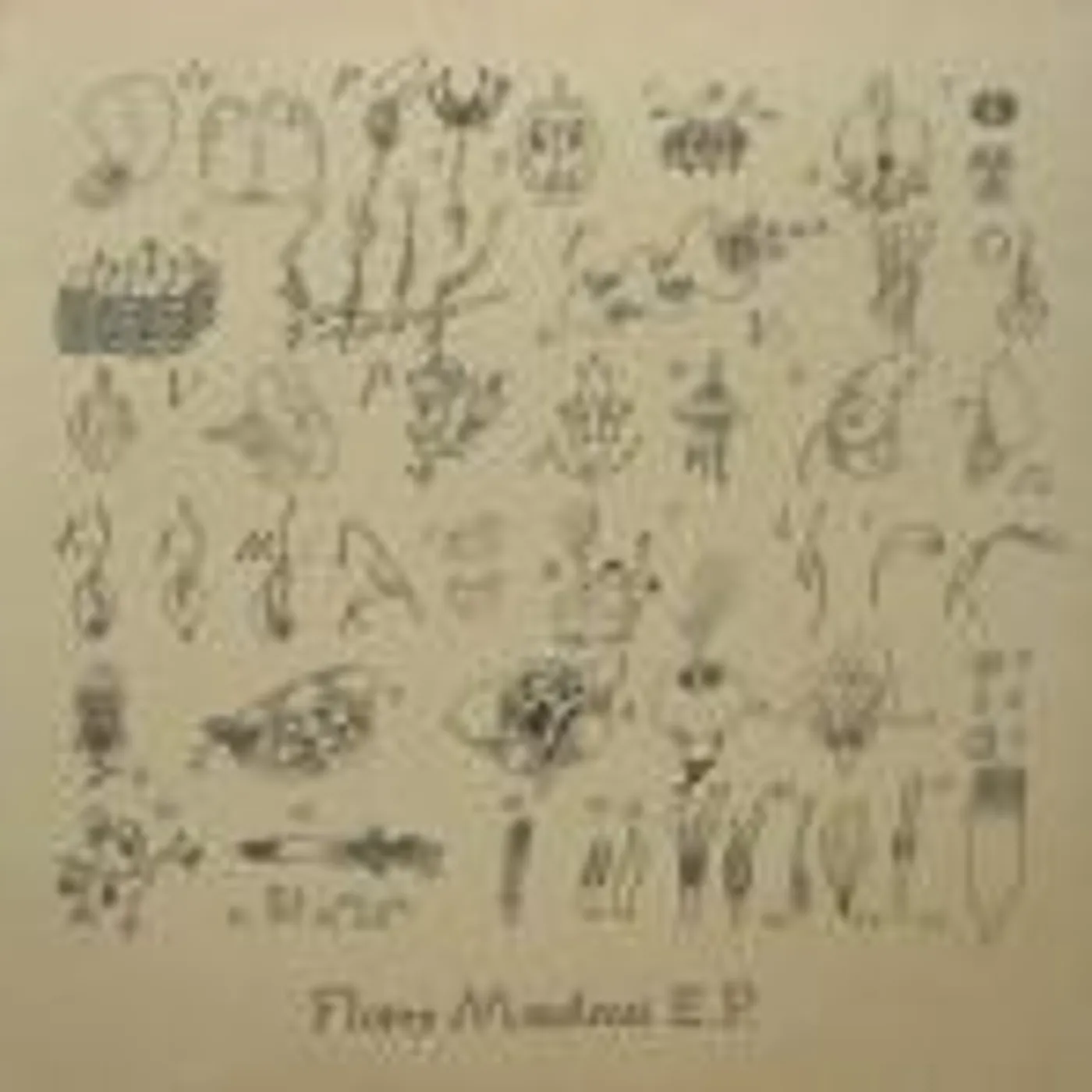 K.I.M. FLORES MONSTROSI Vinyl Record