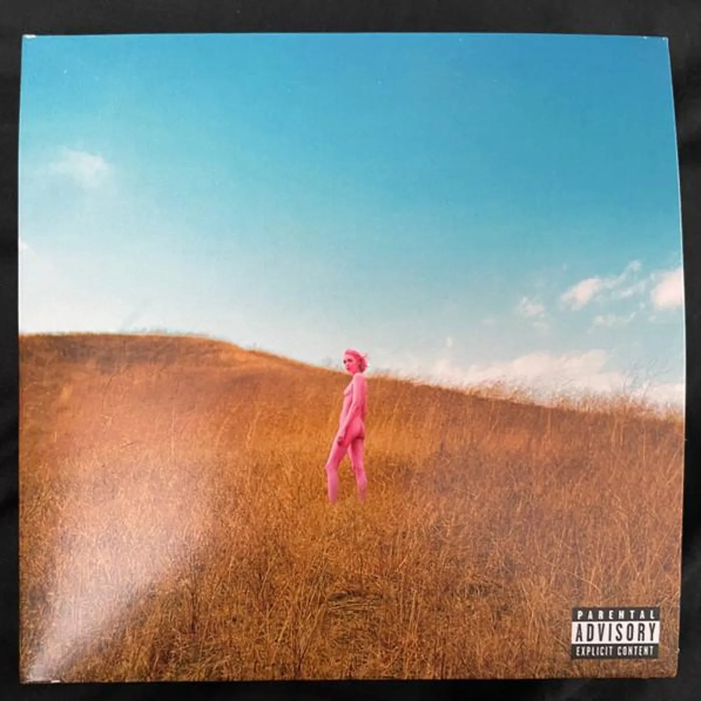 The Regrettes FURTHER JOY CD