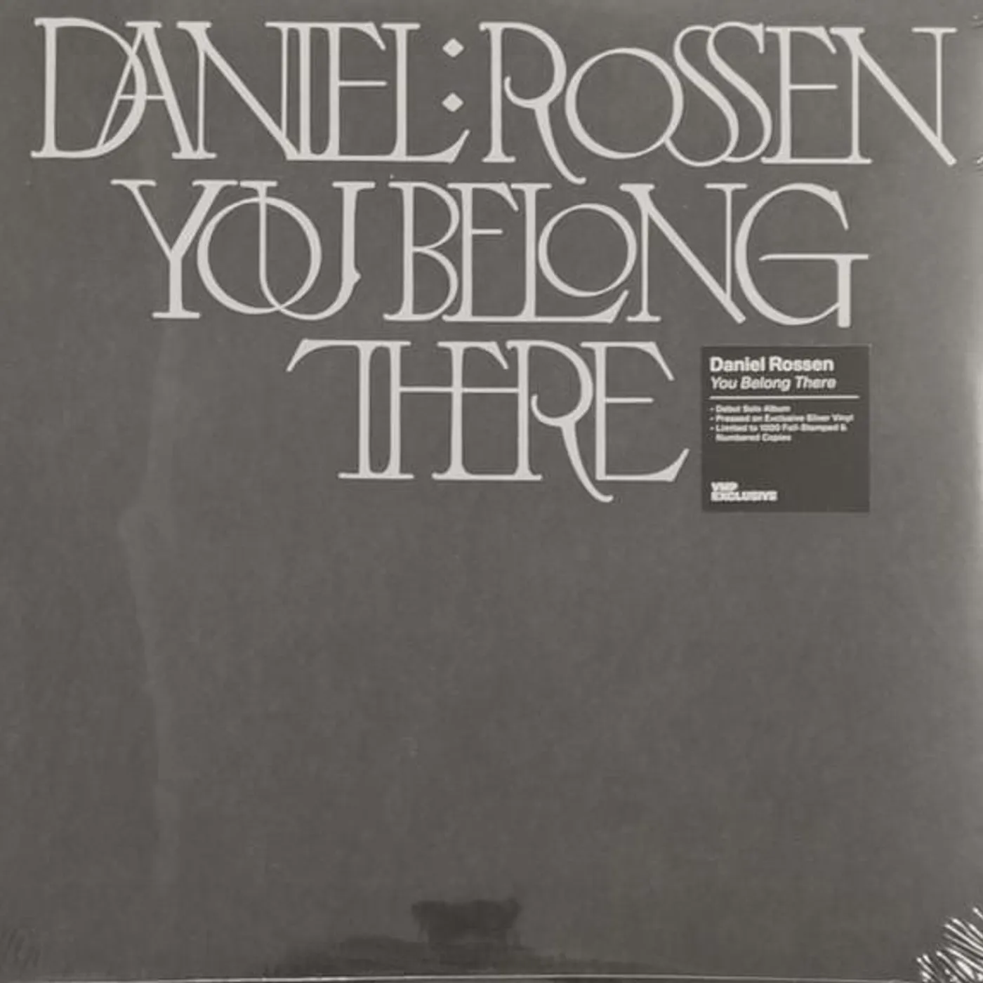 Daniel Rossen YOU BELONG THERE Vinyl Record