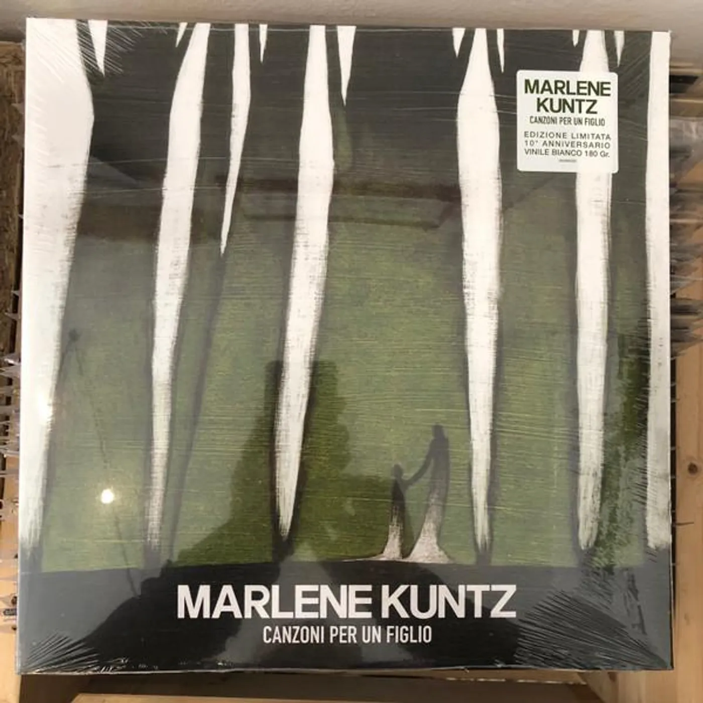 Marlene Kuntz Canzoni per un figlio Vinyl Record