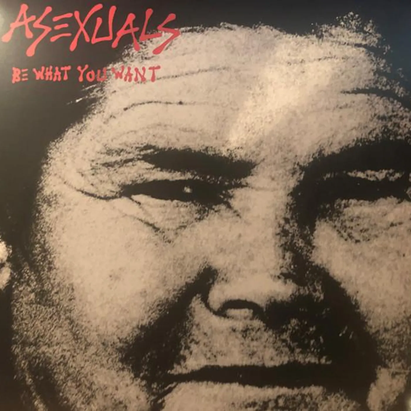 Asexuals Be What You Want Vinyl Record