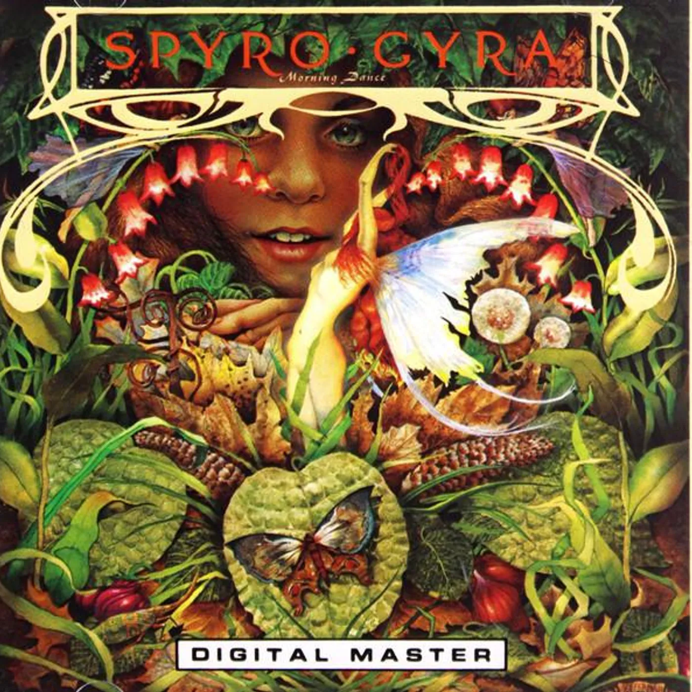 Spyro Gyra MORNING DANCE CD