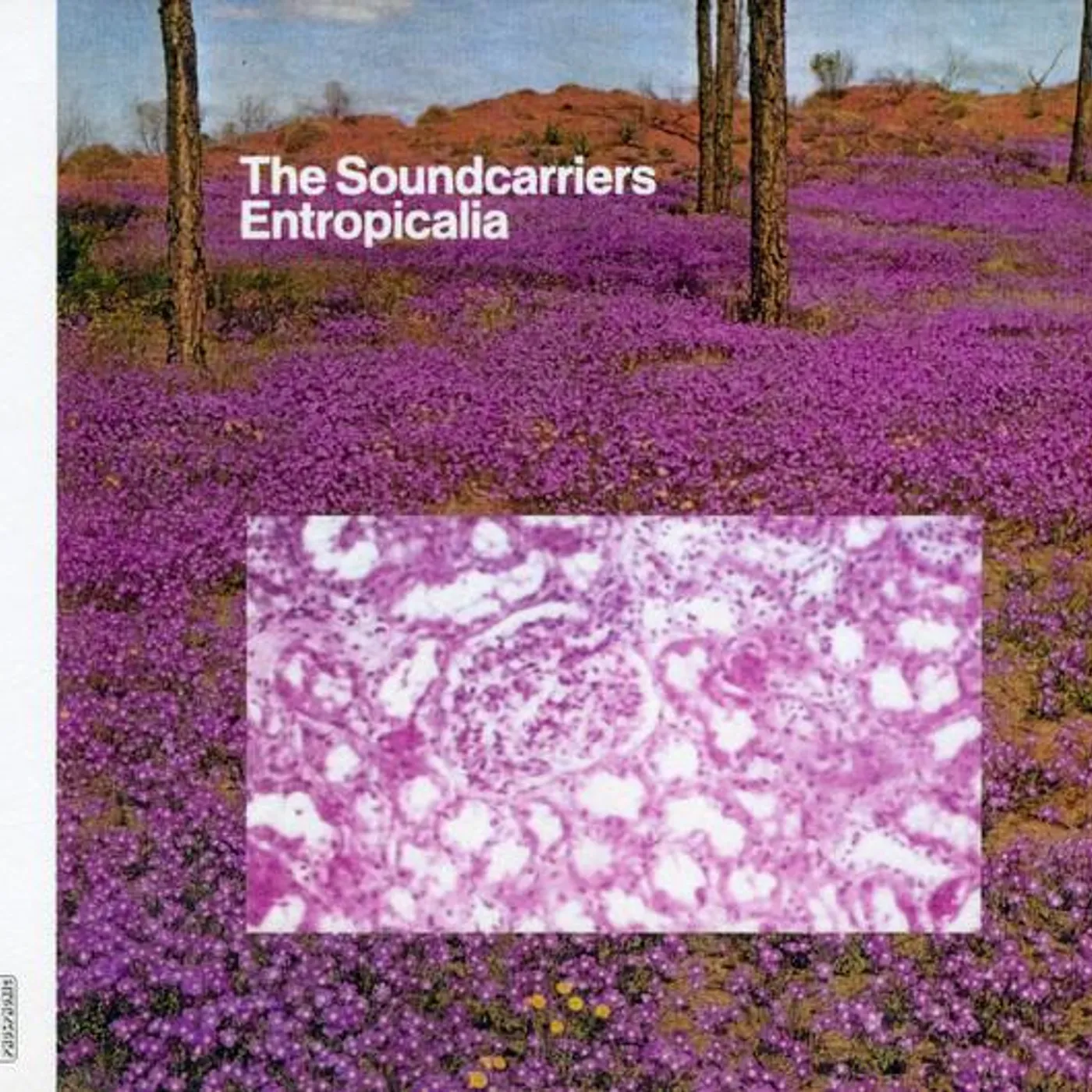 The Soundcarriers ENTROPICALIA CD