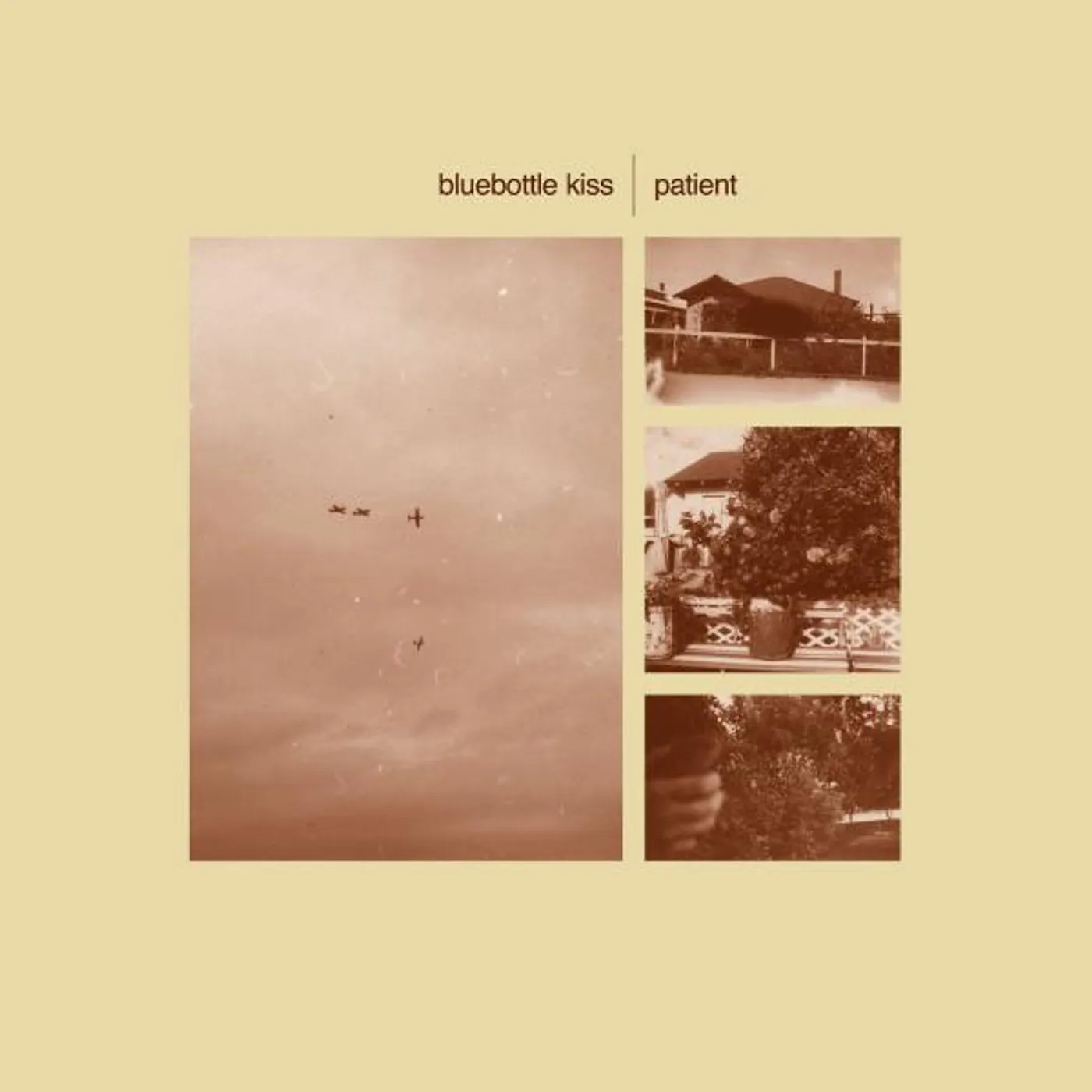 Bluebottle Kiss Patient Vinyl Record