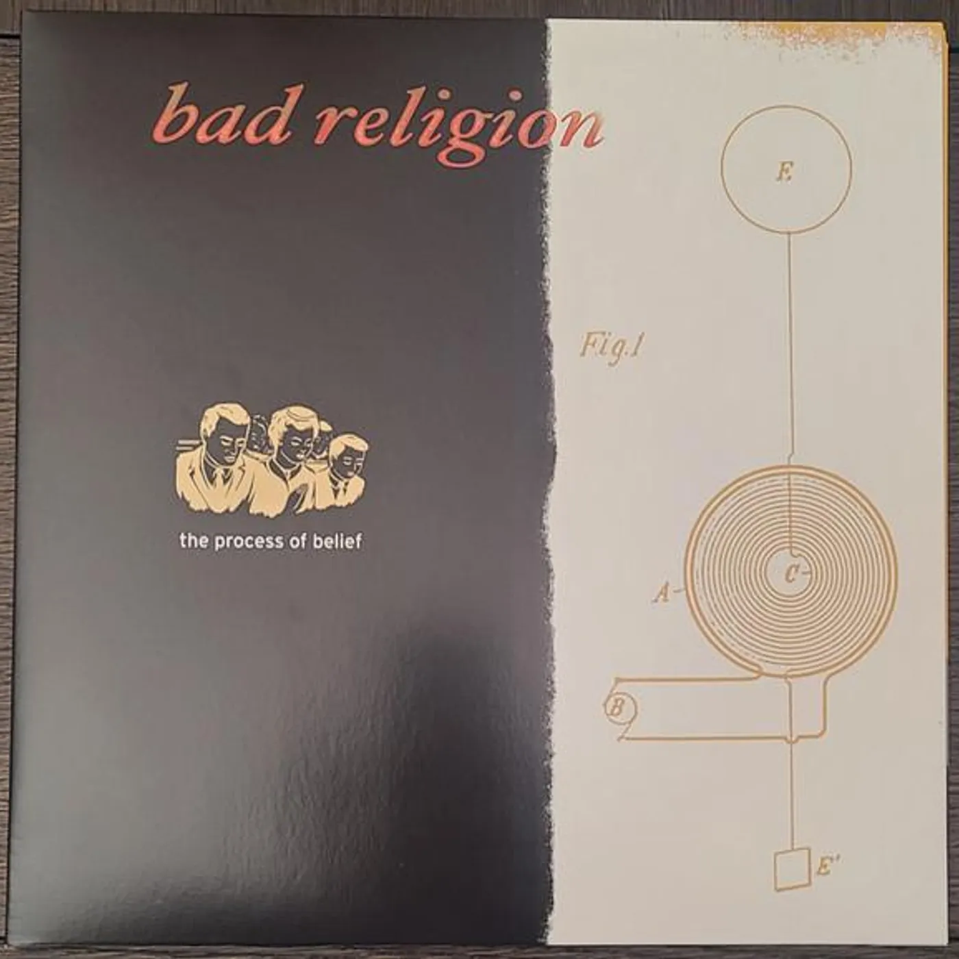 Bad Religion PROCESS OF BELIEF (ANNIV. ED/HALLOWEEN ORANGE VINYL) Vinyl Record
