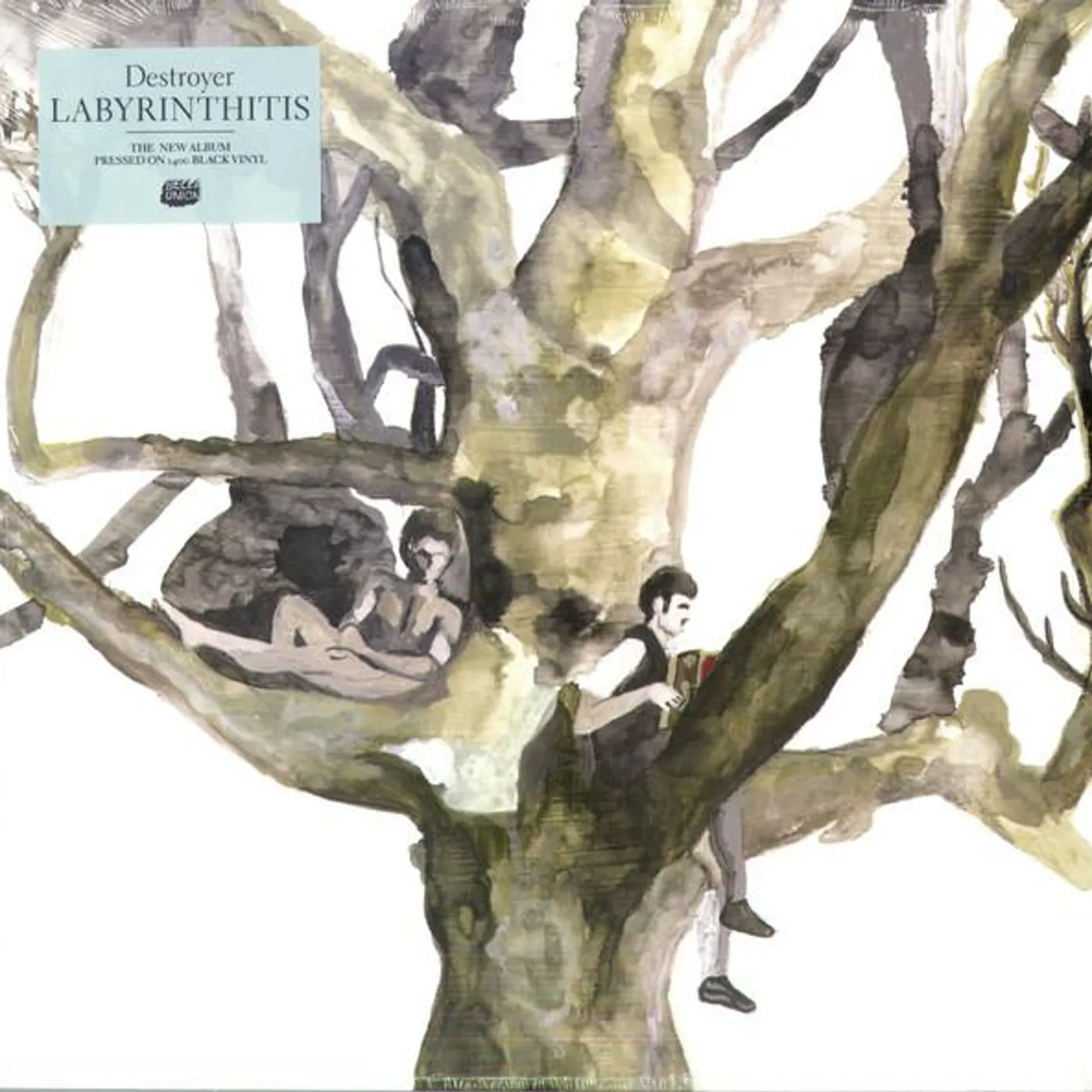 Destroyer LABYRINTHITIS Vinyl Record