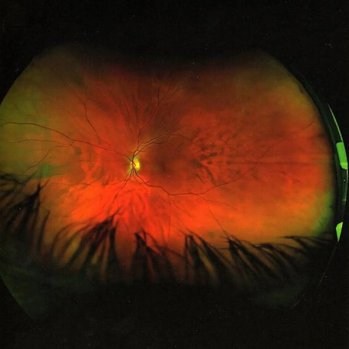 Greg Puciato MIRRORCELL CD