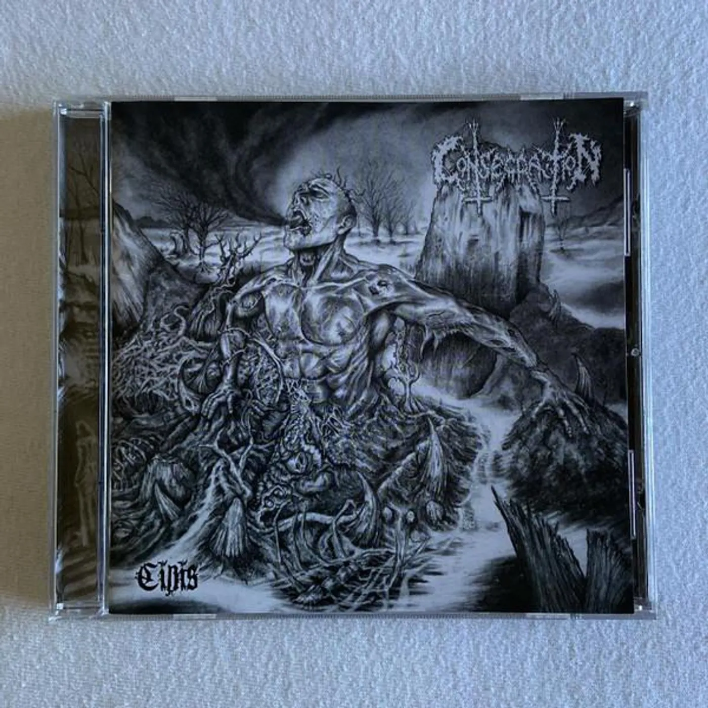 Consecration CINIS CD