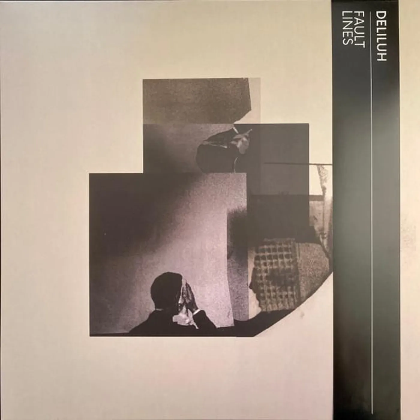 Deliluh Fault Lines Vinyl Record