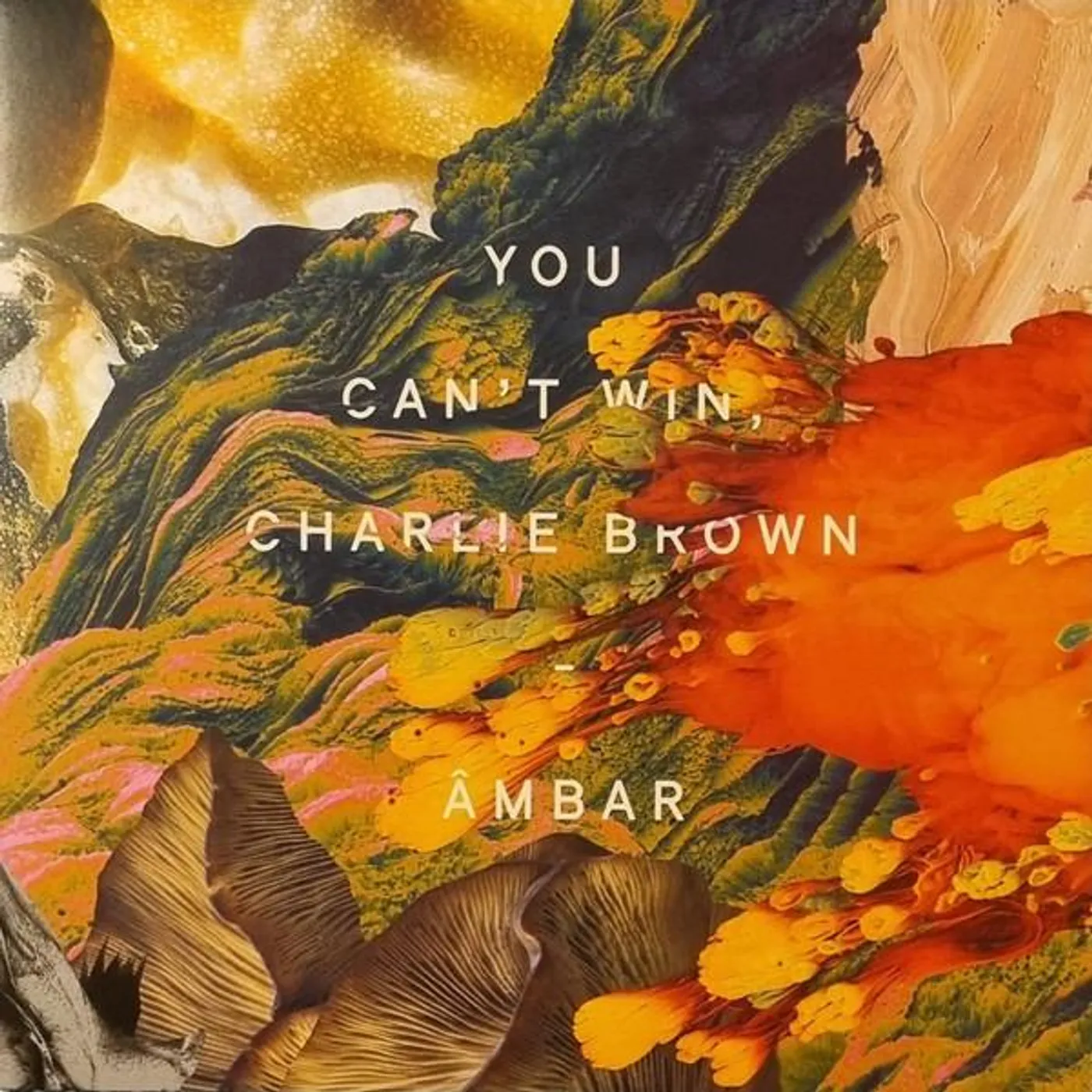 You Can't Win, Charlie Brown AMBAR Vinyl Record