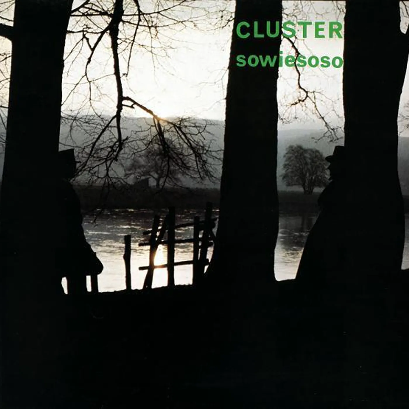 Cluster Sowiesoso Vinyl Record
