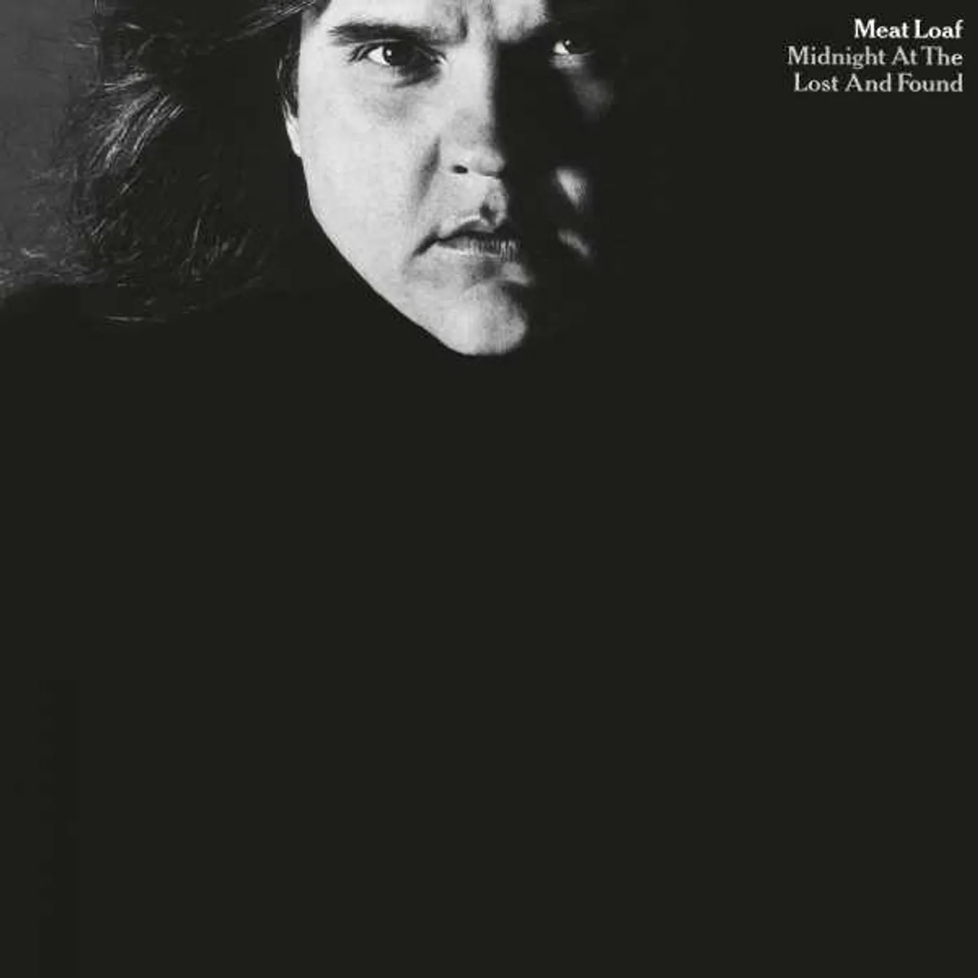 Meat Loaf Midnight At The Lost & Found (180g/silver & Black Mabrled) Vinyl Record