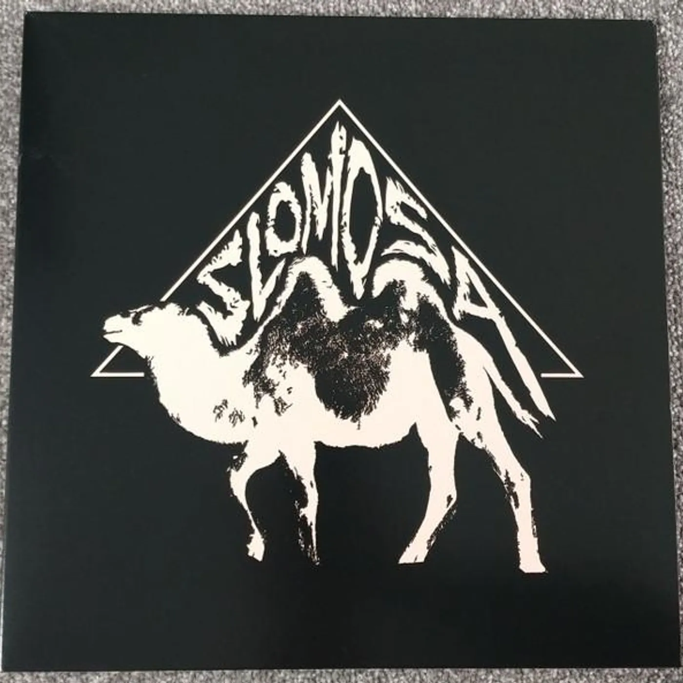 Slomosa Vinyl Record