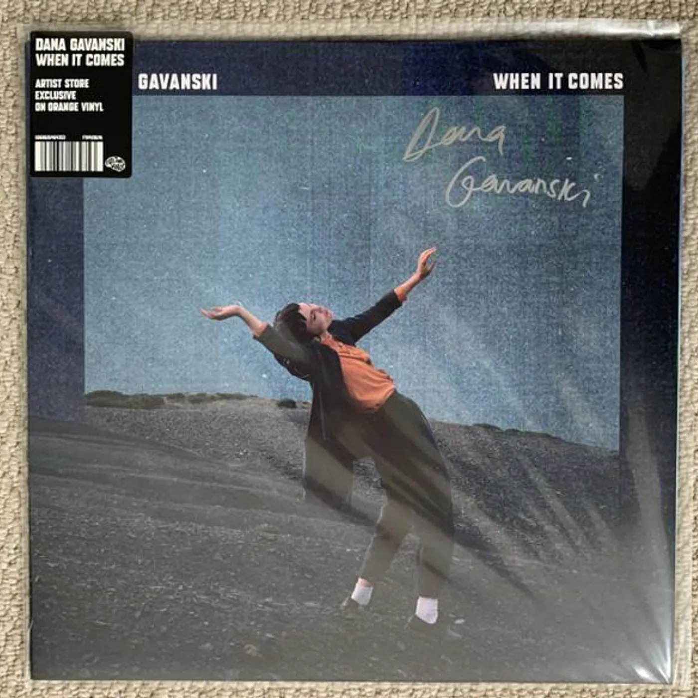 Dana Gavanski WHEN IT COMES Vinyl Record