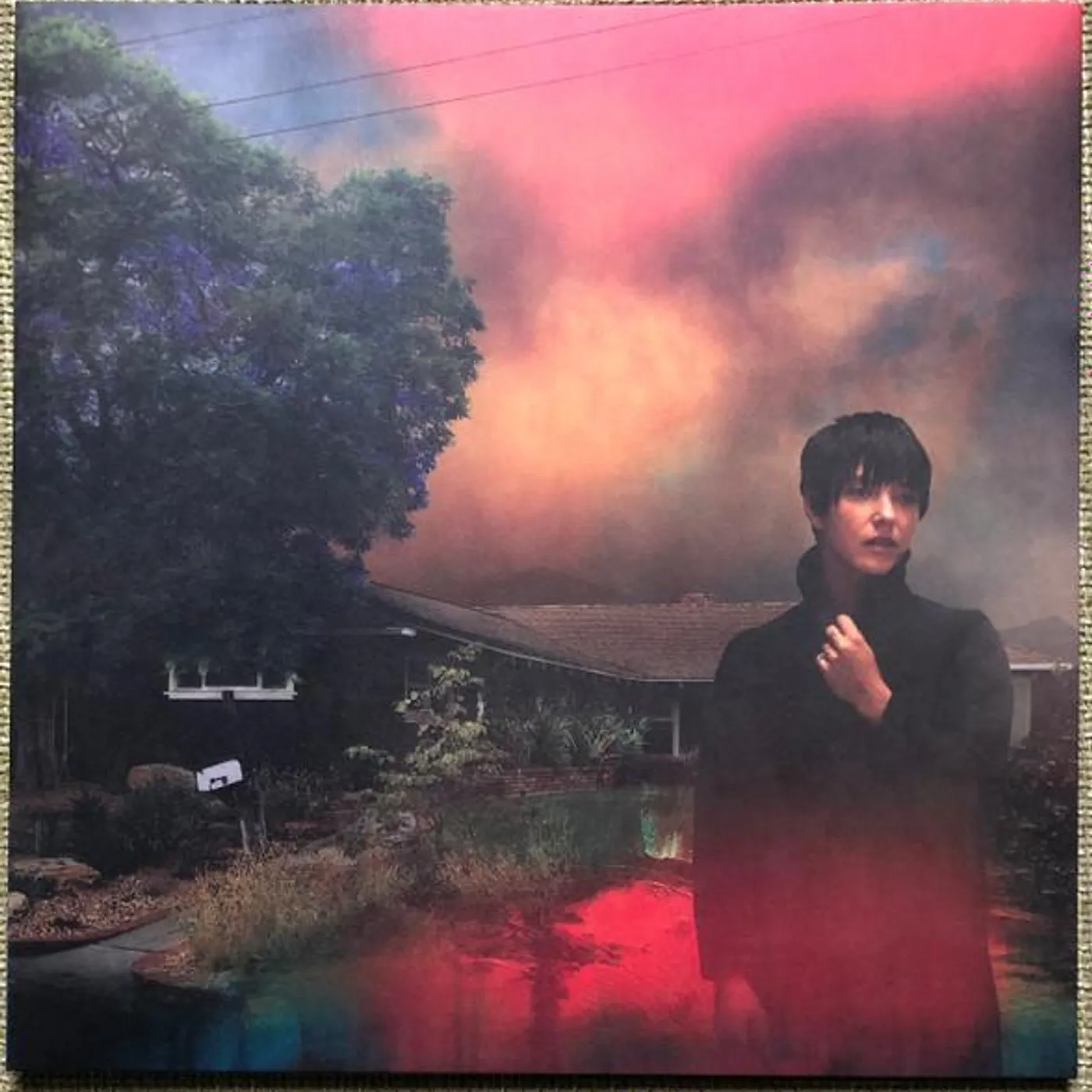 Sharon Van Etten WE'VE BEEN GOING ABOUT THIS ALL WRONG Vinyl Record