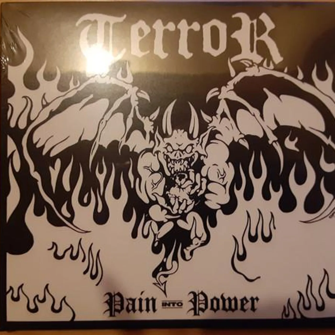 Terror PAIN INTO POWER CD