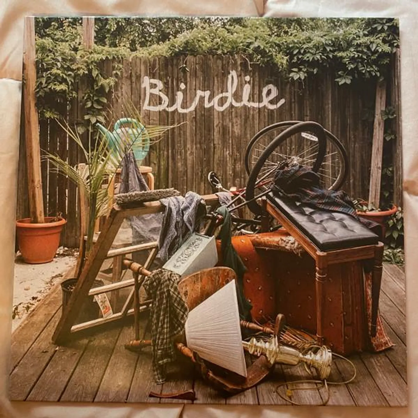 Slaughter Beach, Dog Birdie Vinyl Record