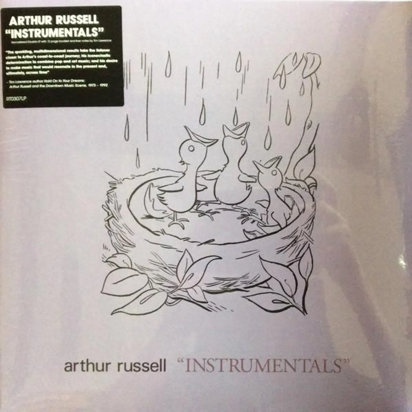Arthur Russell INSTRUMENTALS Vinyl Record