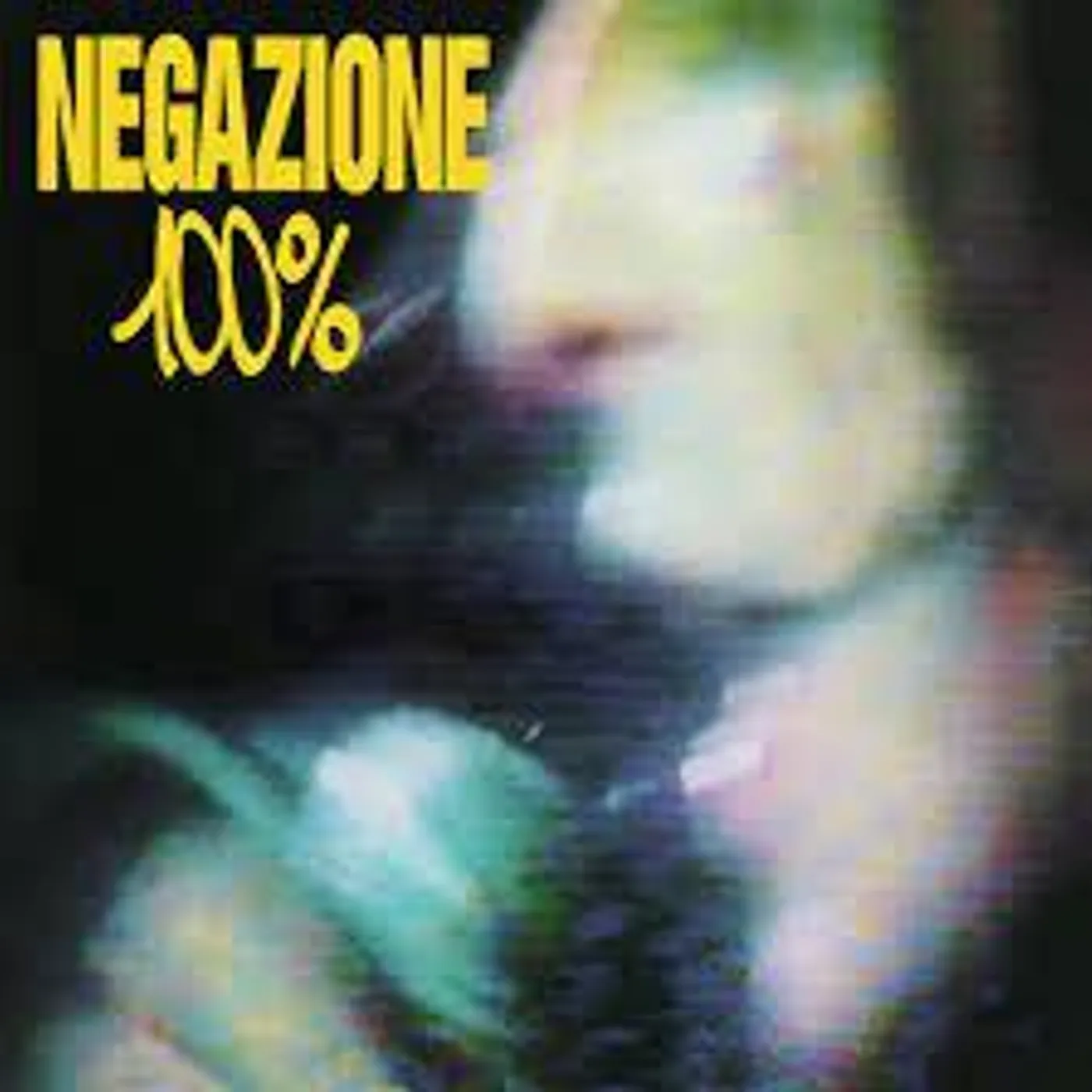 Negazione 100% Vinyl Record