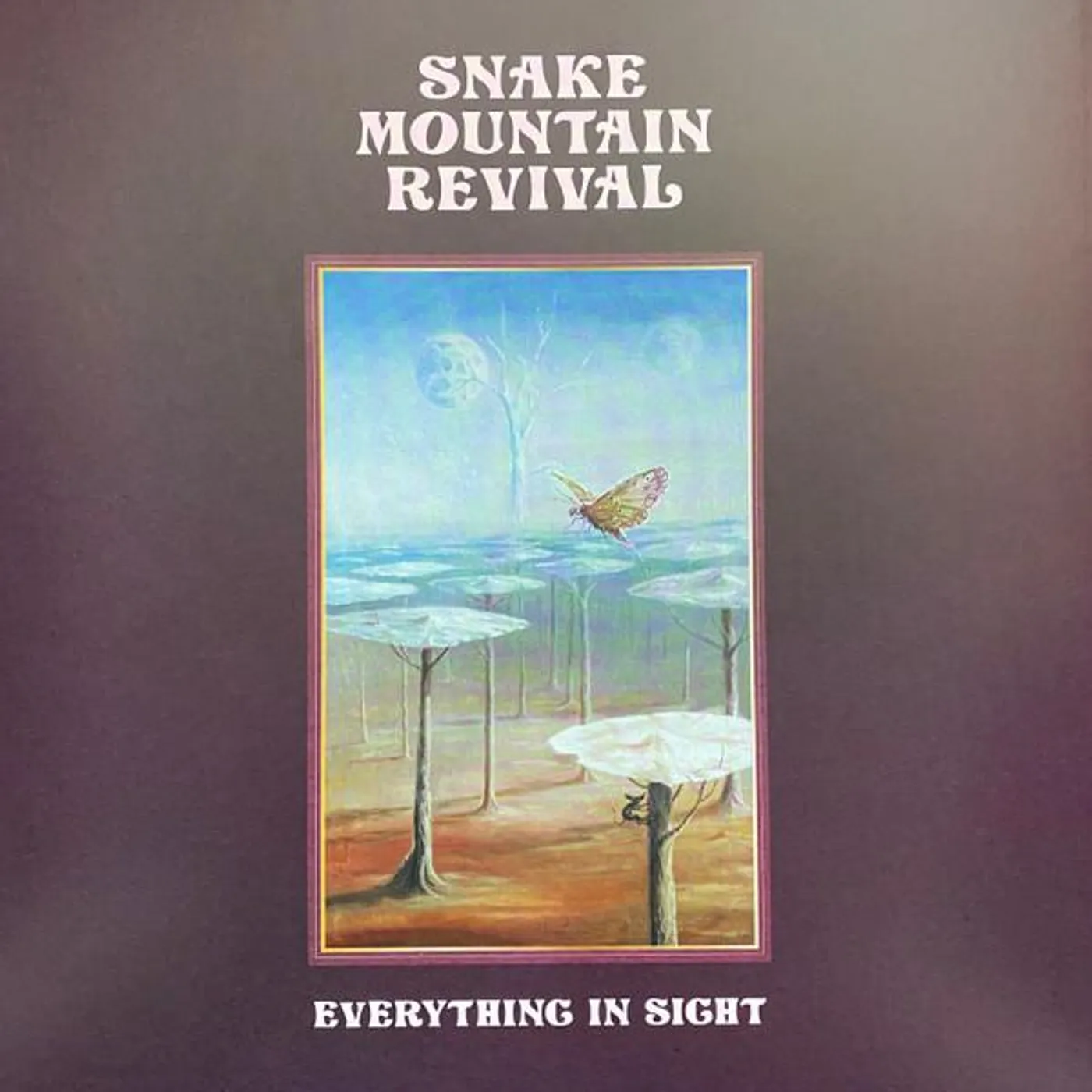 Snake Mountain Revival Everything In Sight Vinyl Record