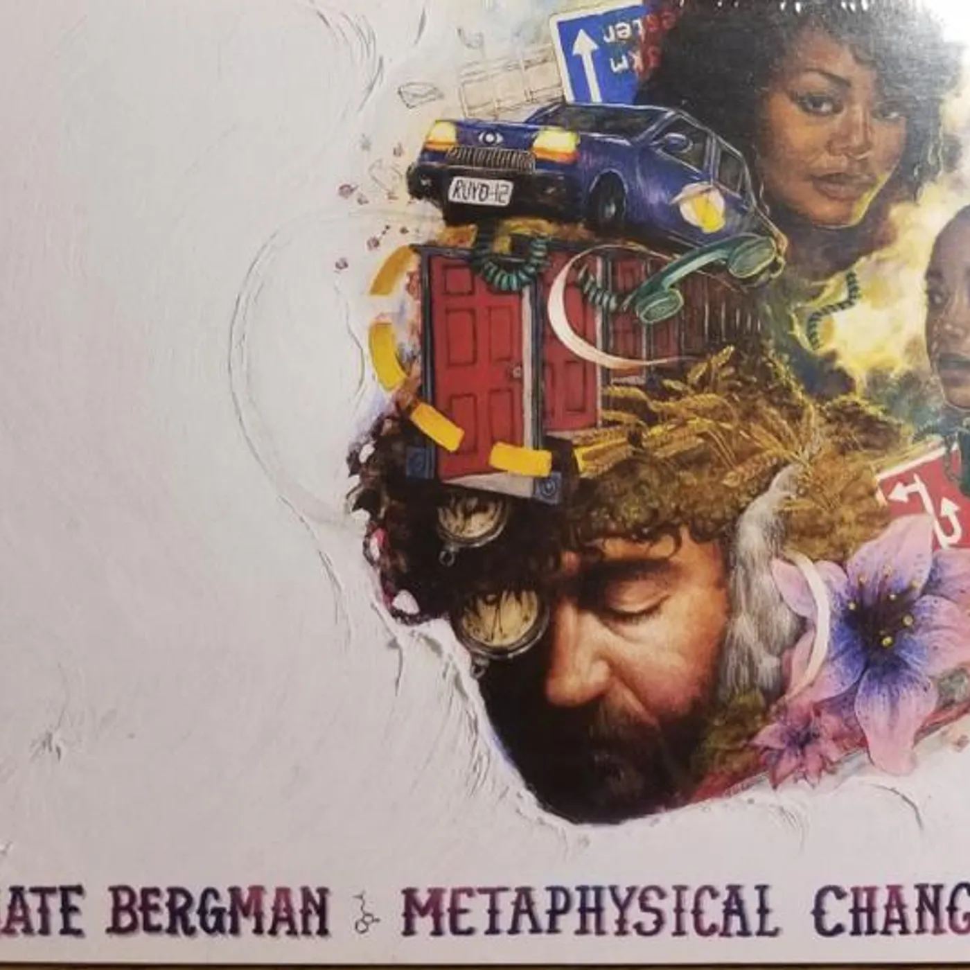 Nate Bergman METAPHYSICAL CHANGE CD